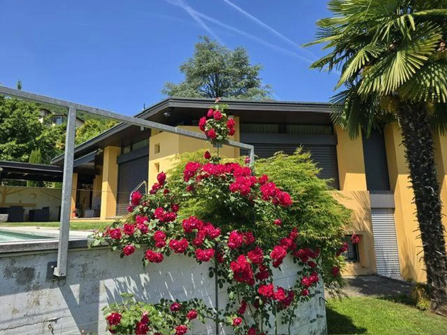 Villa esclusiva con piscina e giardino nel cuore di Lugano - Pura - Foto 6 di 13