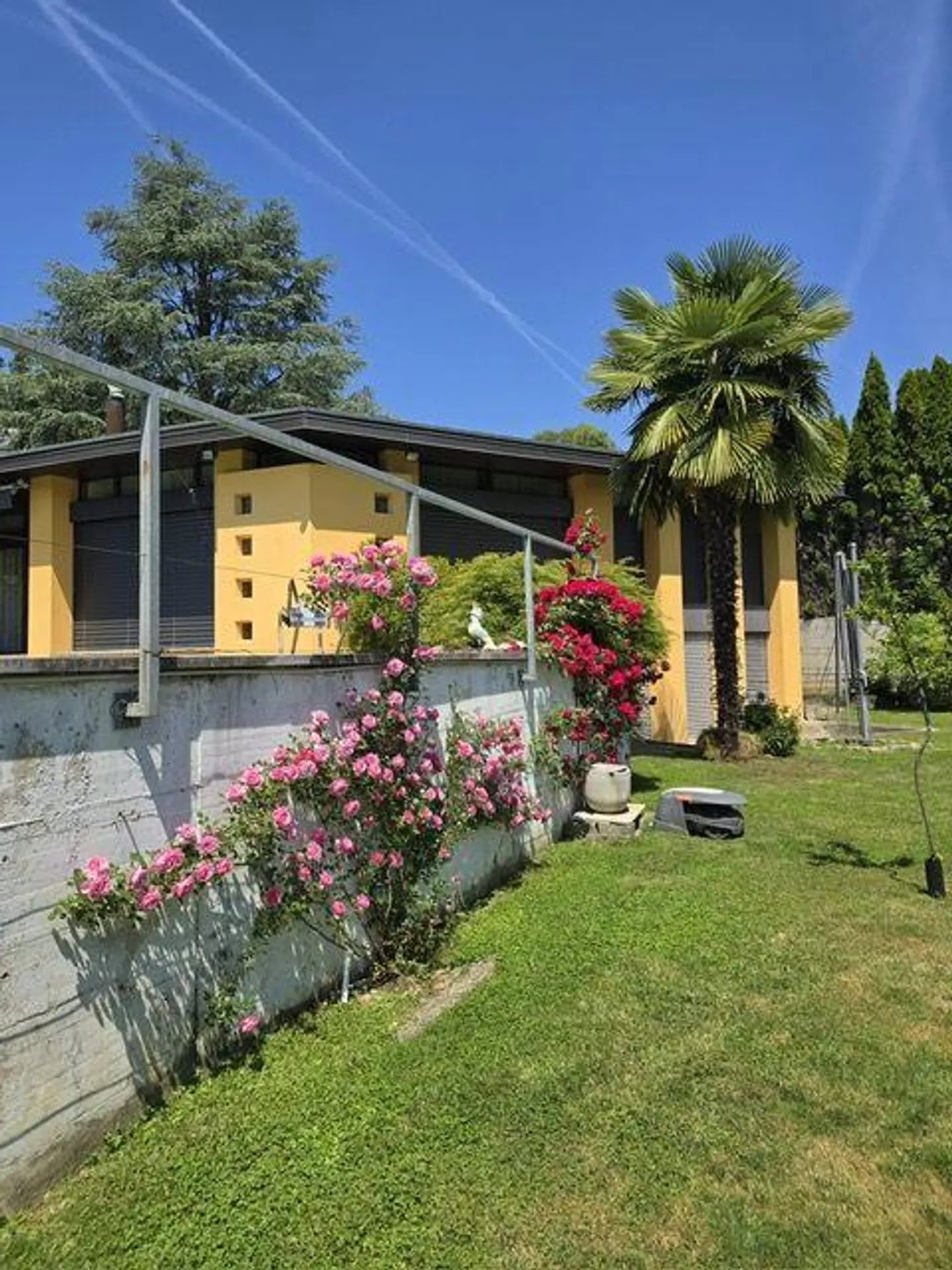 Villa esclusiva con piscina e giardino nel cuore di Lugano - Pura - Foto 9 di 13