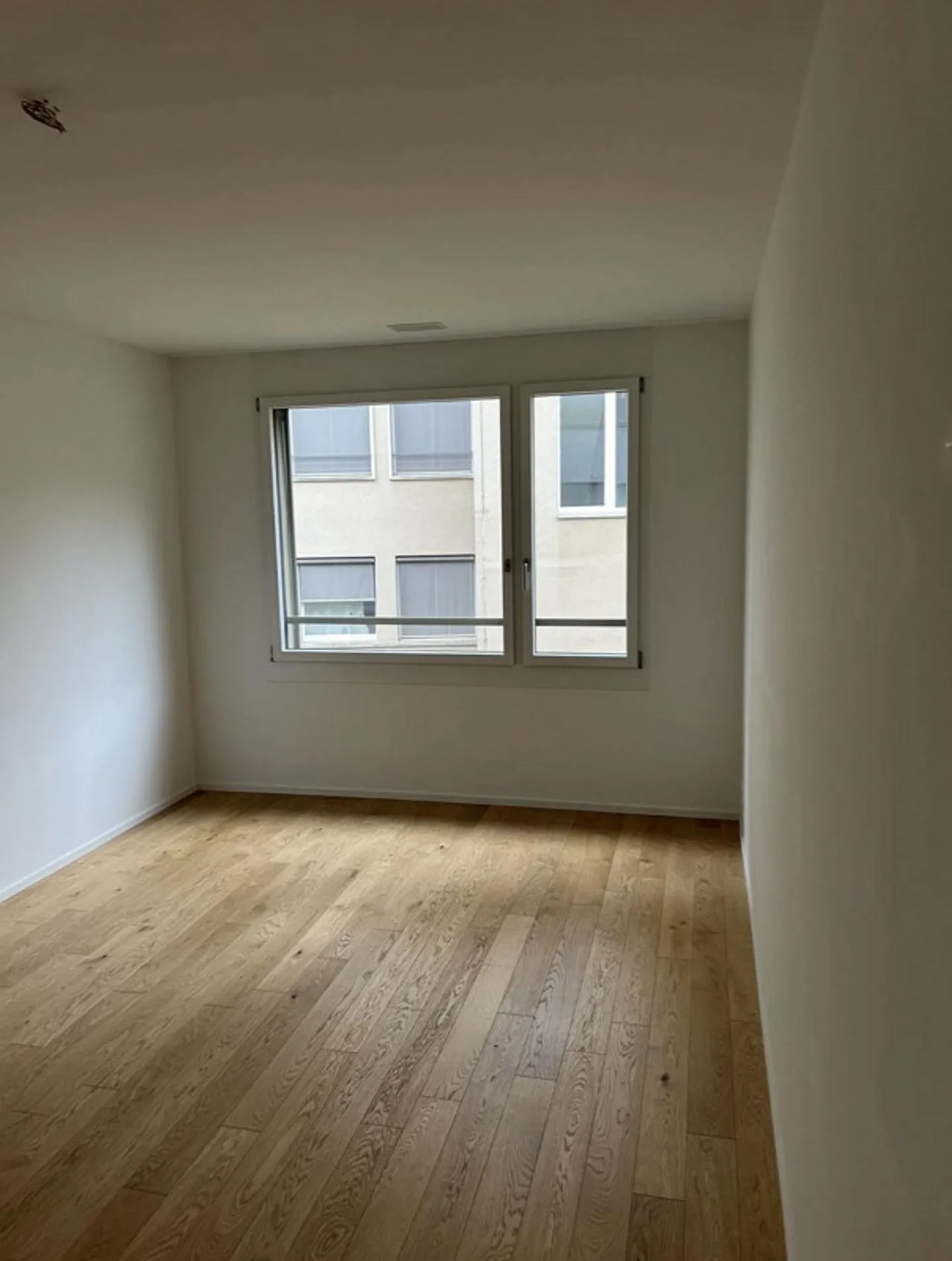 Appartamento 2,5 stanze in affitto - Foto 5 di 7