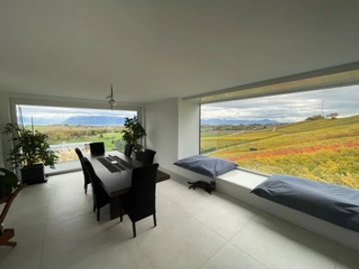 Villa Architettonica con Vista Panoramica - Foto 8 di 13