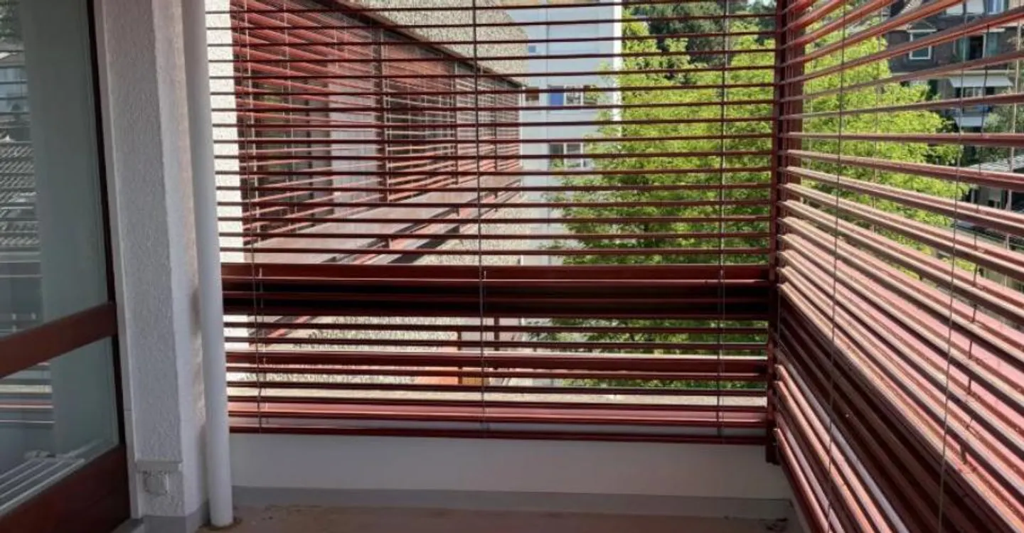 Duplex Apartment with Lake View - Photo 4 of 13