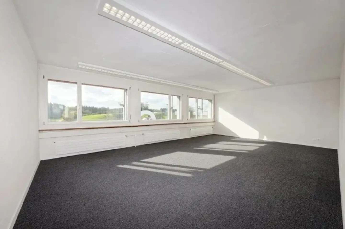 Spacious office space with its own kitchen - Photo 3 of 10