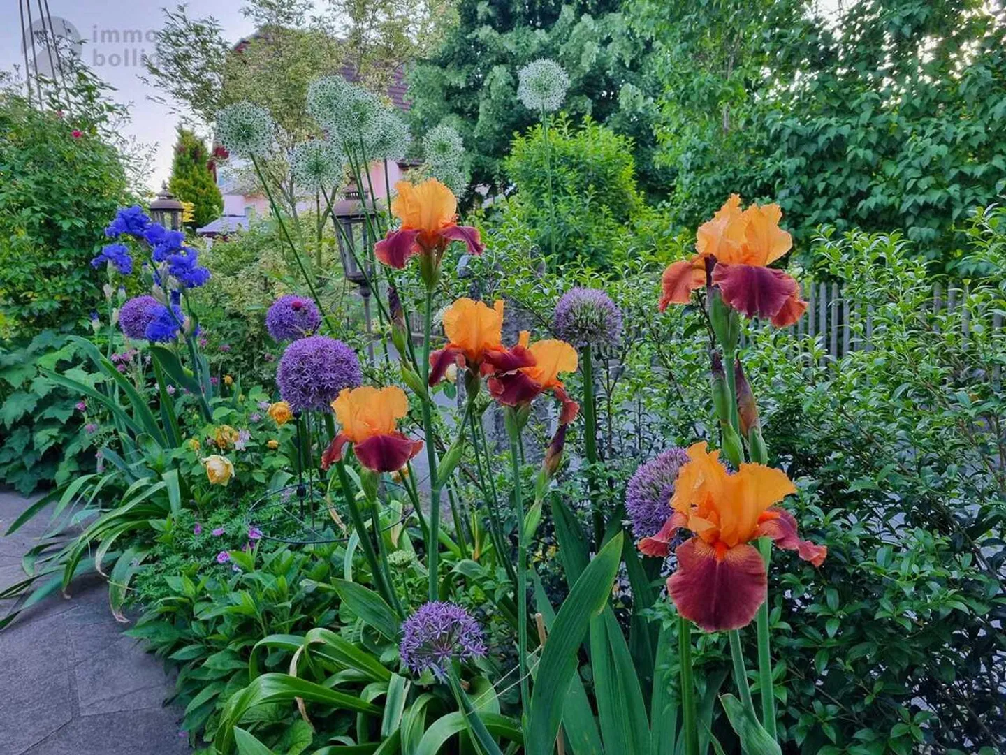 Blumiges Zuhause am Flieder-Weg - Photo 12 sur 13