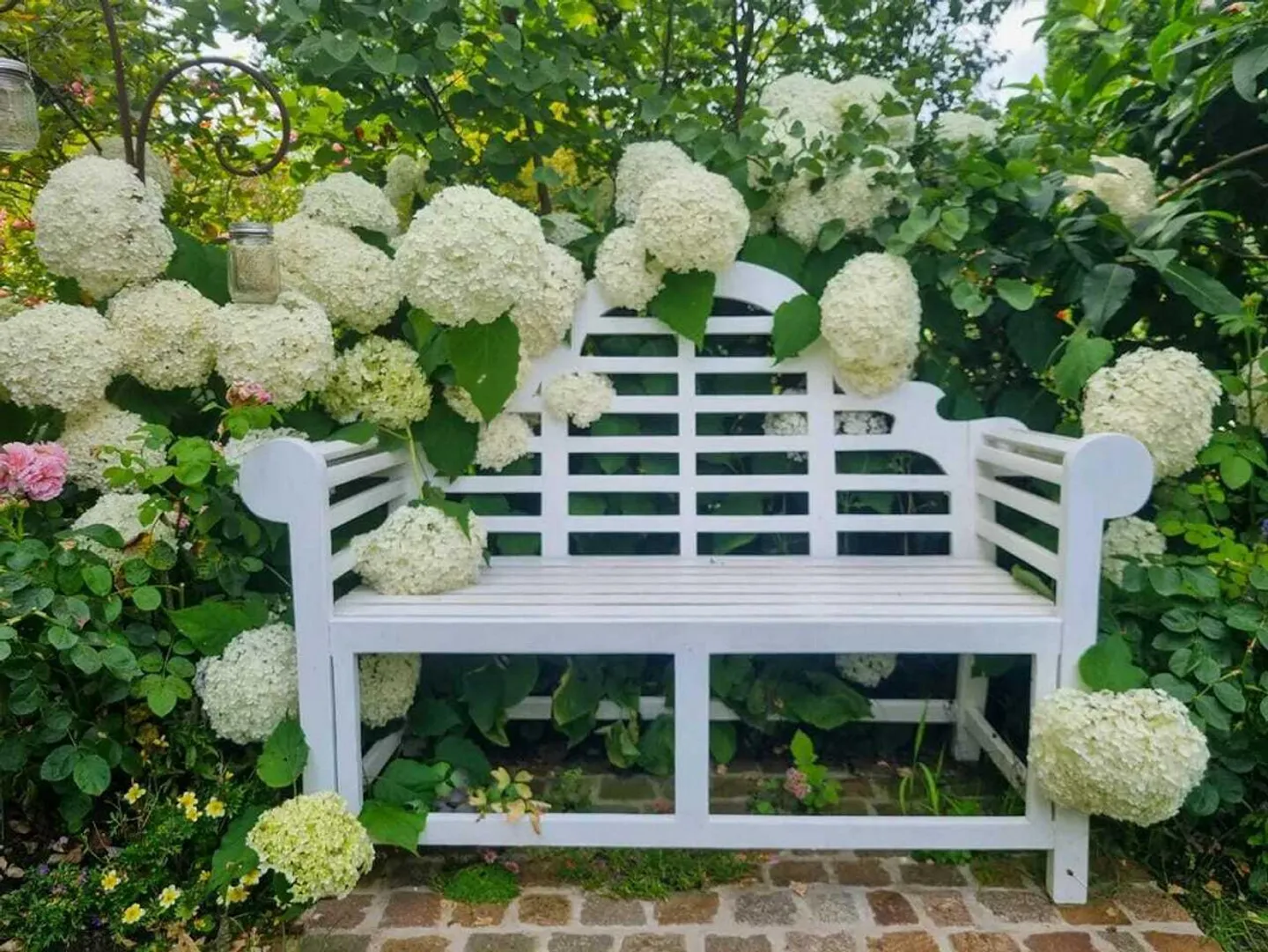 Blumiges Zuhause am Flieder-Weg - Photo 13 sur 13