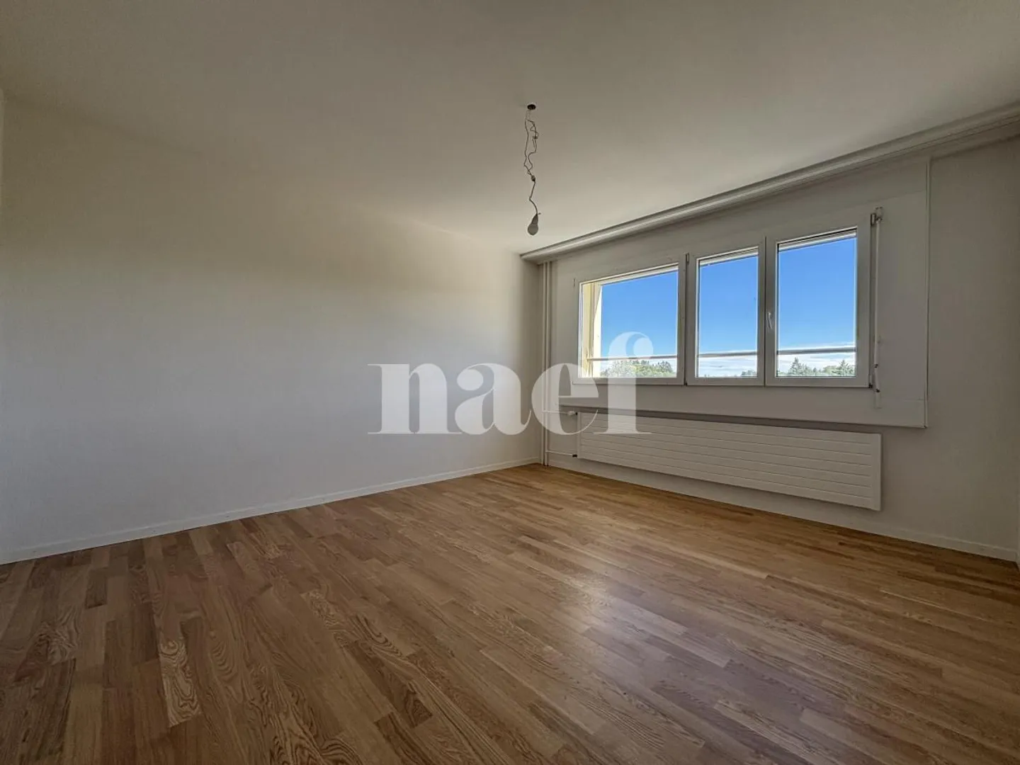 2.5 Room Apartment - Photo 4 of 5