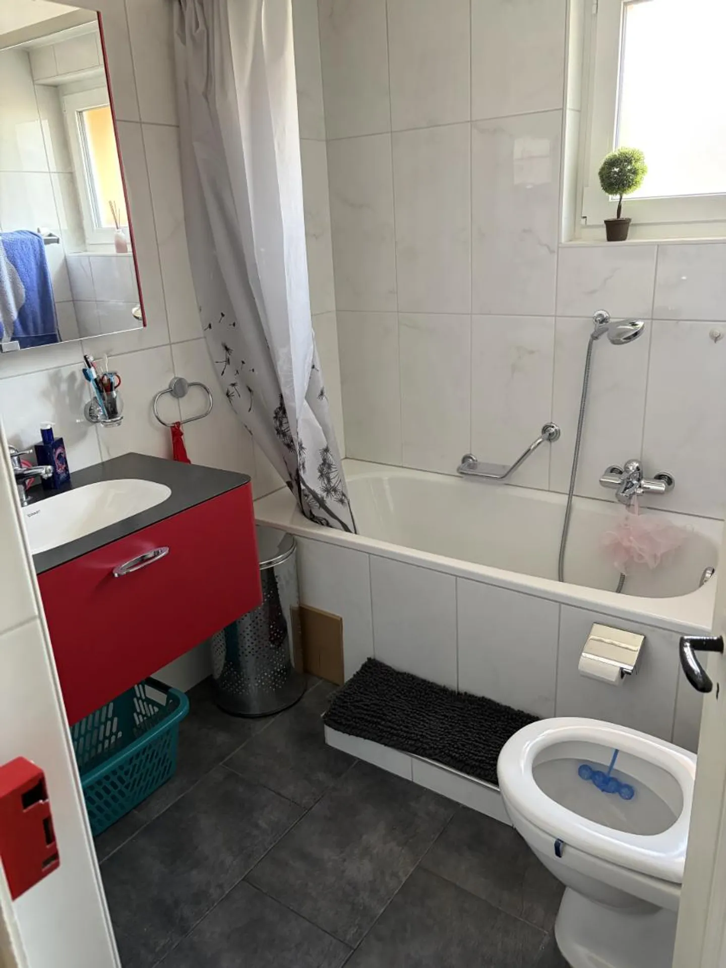 2,5-Zimmer-Wohnung - Foto 3 von 5