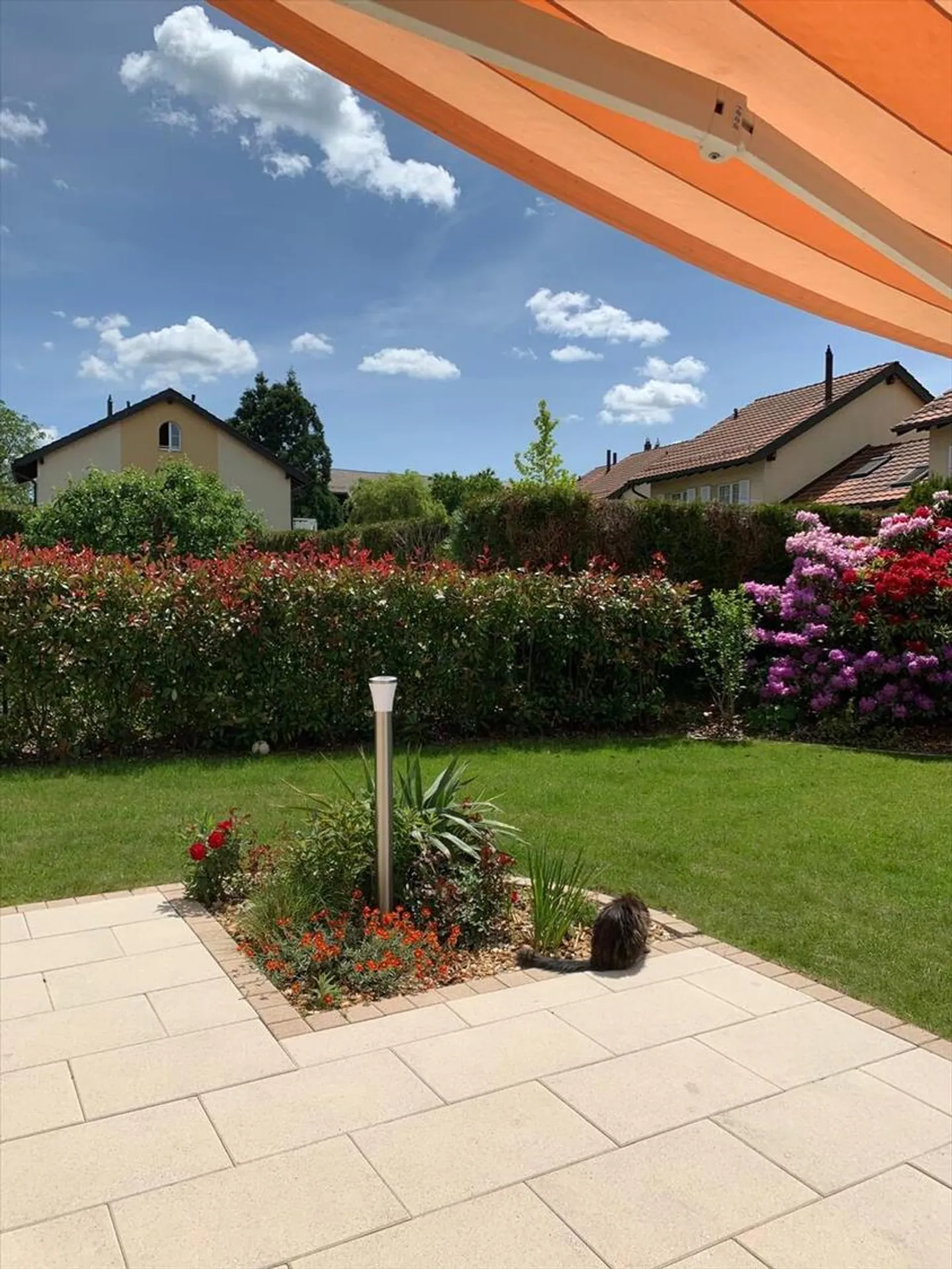 Casa a schiera 5.5 stanze - Foto 4 di 13