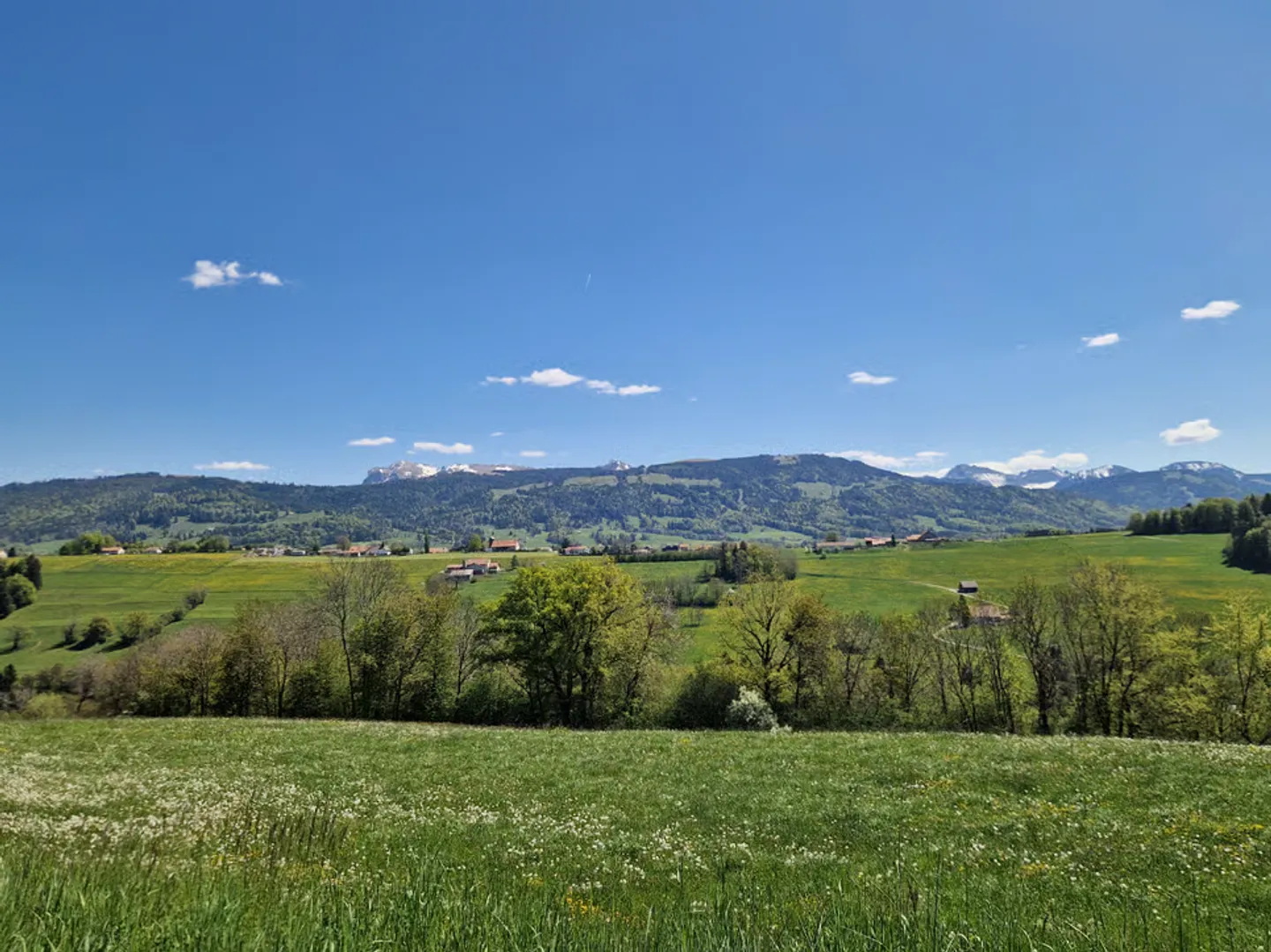 Nouvelles villas en campagne fribourgeoise - Photo 2 sur 10
