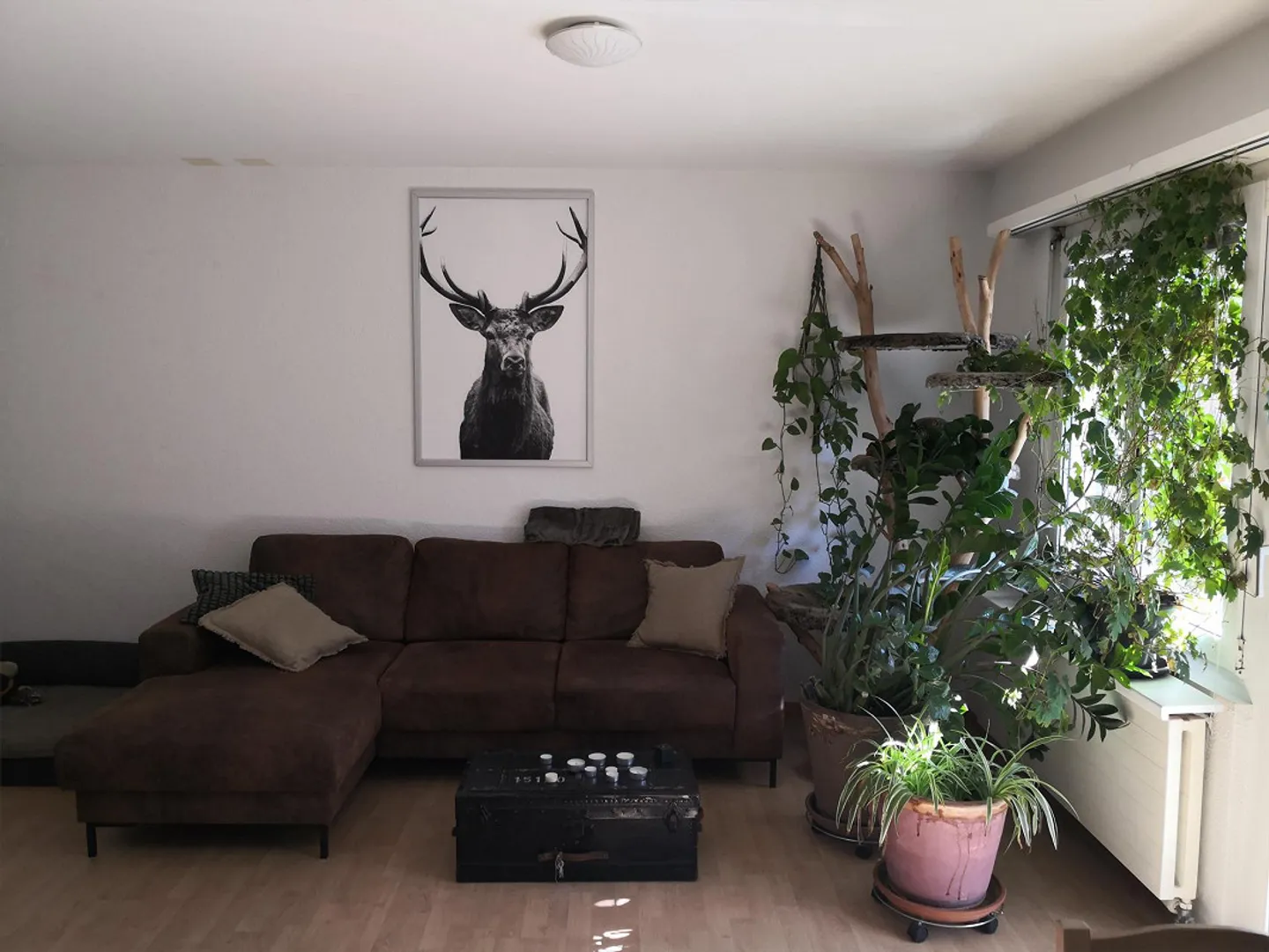 Appartamento accogliente di 3,5 stanze - Foto 4 di 5