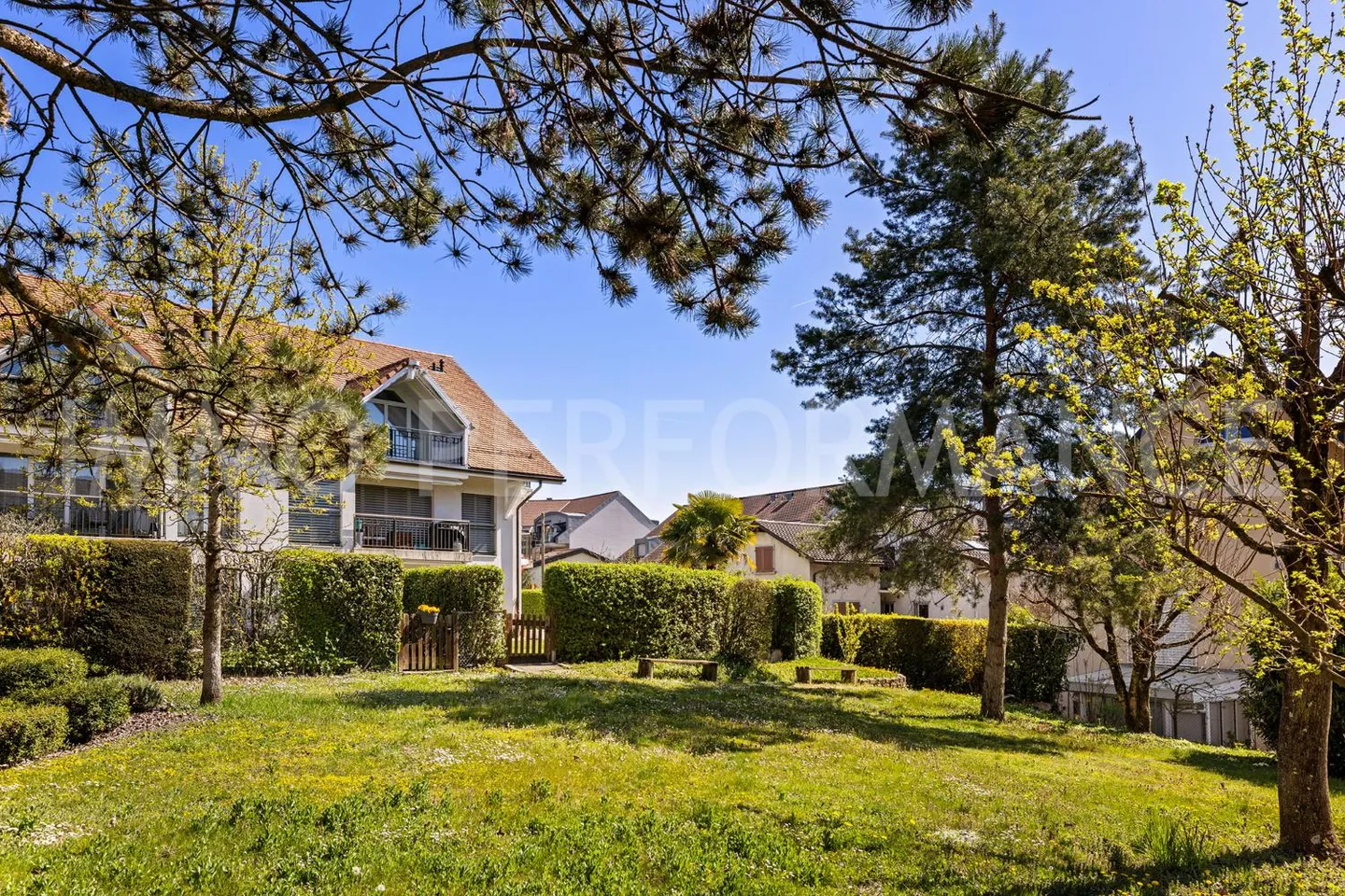 Attico 3.5 stanze - Foto 1 di 11