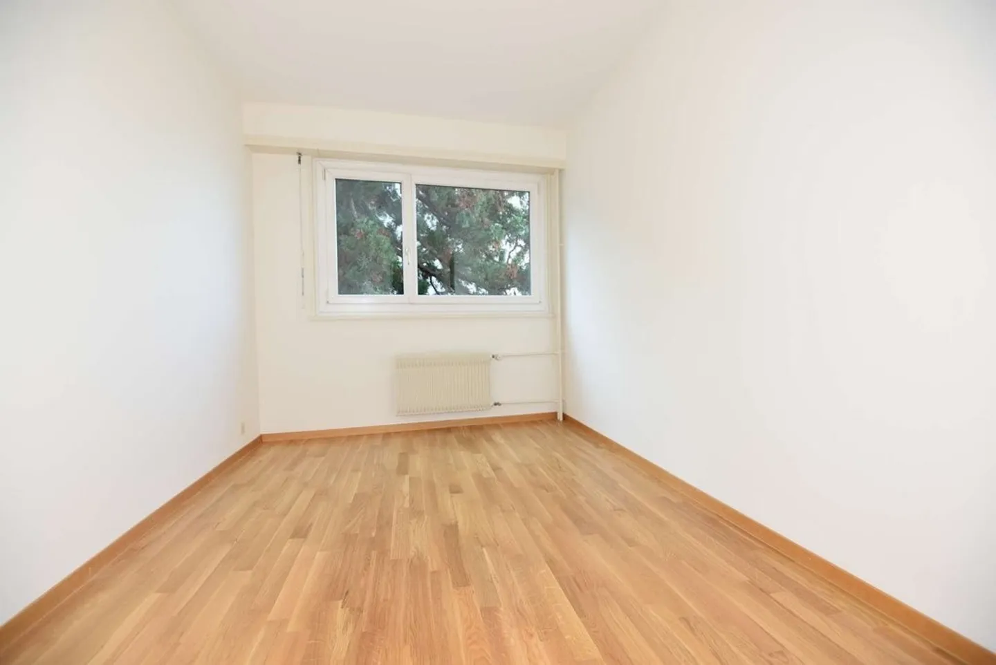 2 Steps from the Lake with Stunning View - Photo 5 of 11