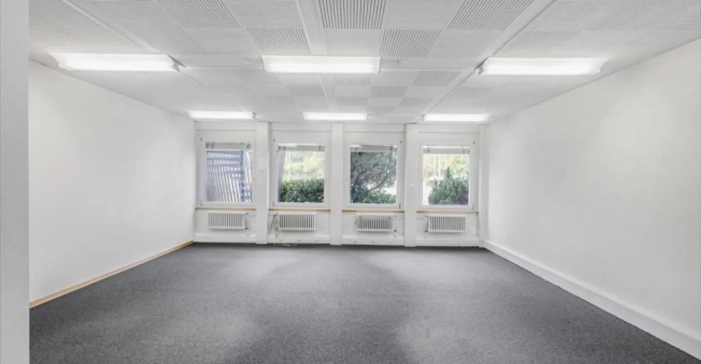 Commercio - Foto 4 di 11