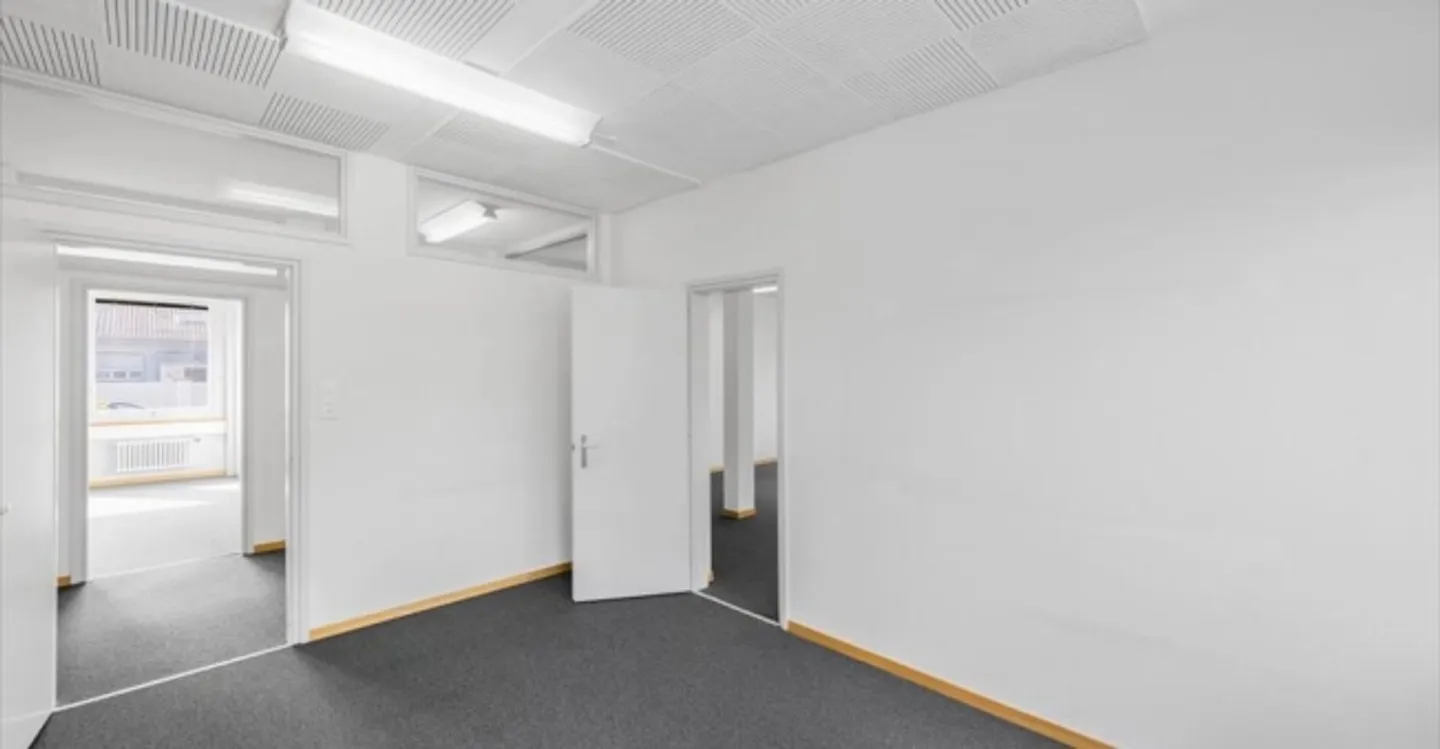 Commercio - Foto 6 di 11