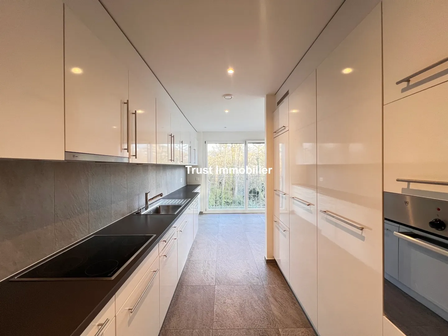 5006L. Grande appartamento in affitto - vista Salève - Conches - Foto 6 di 17