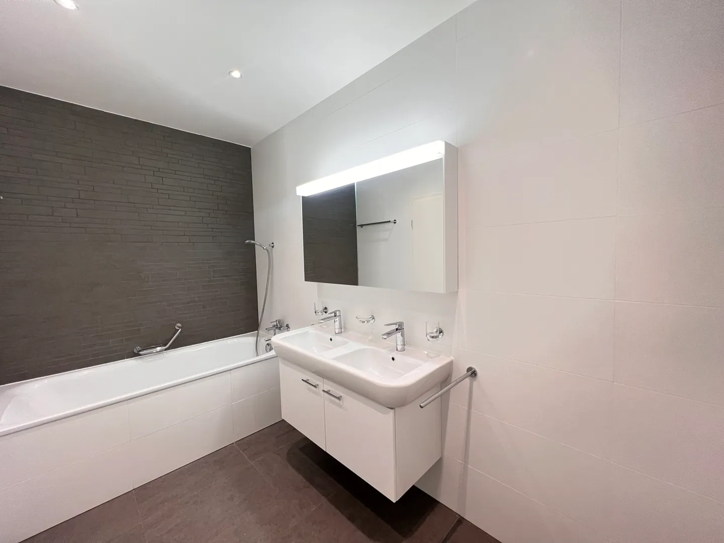 5006L. Grande appartamento in affitto - vista Salève - Conches - Foto 14 di 17