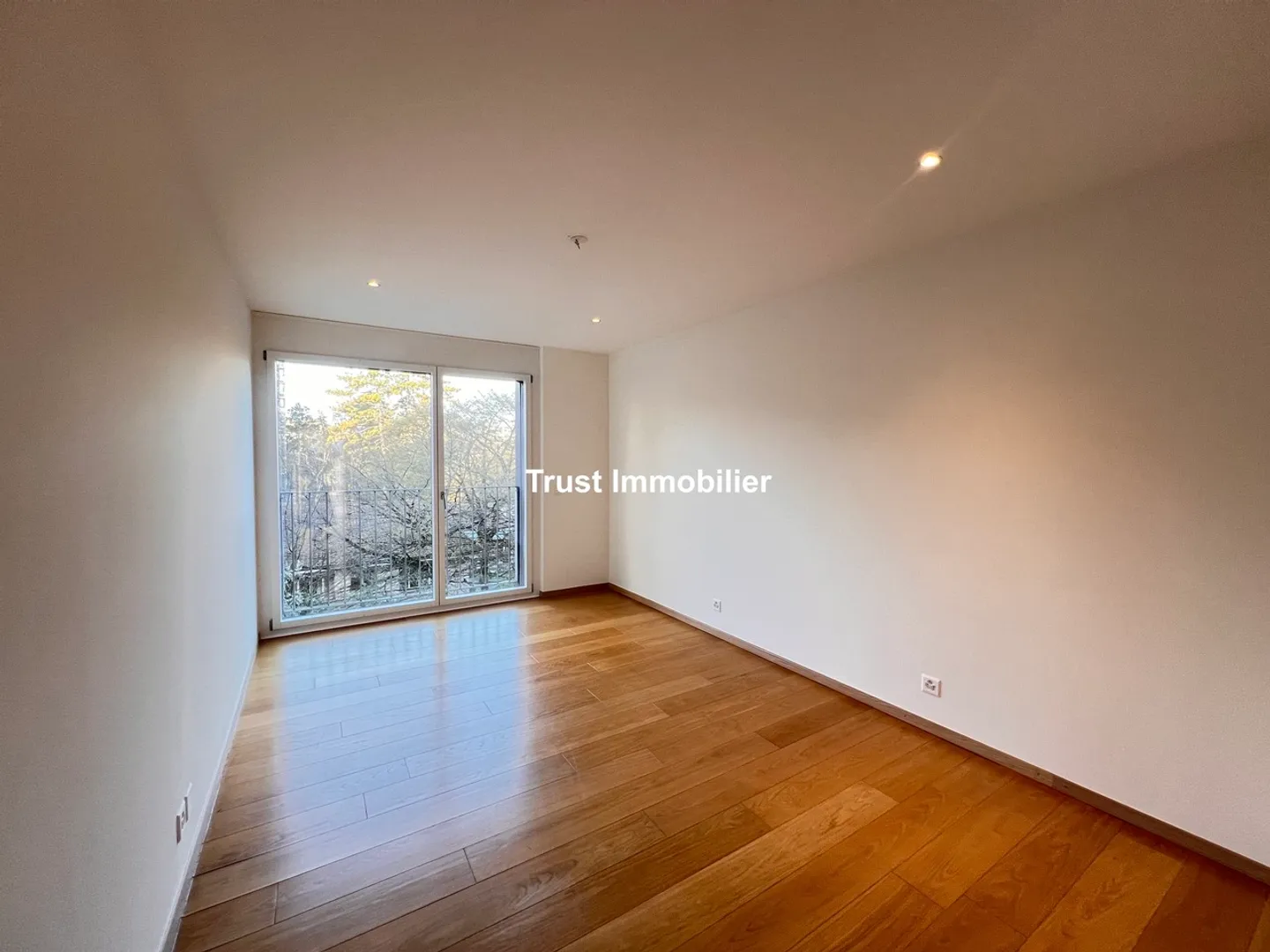 5006L. Grande appartamento in affitto - vista Salève - Conches - Foto 15 di 17