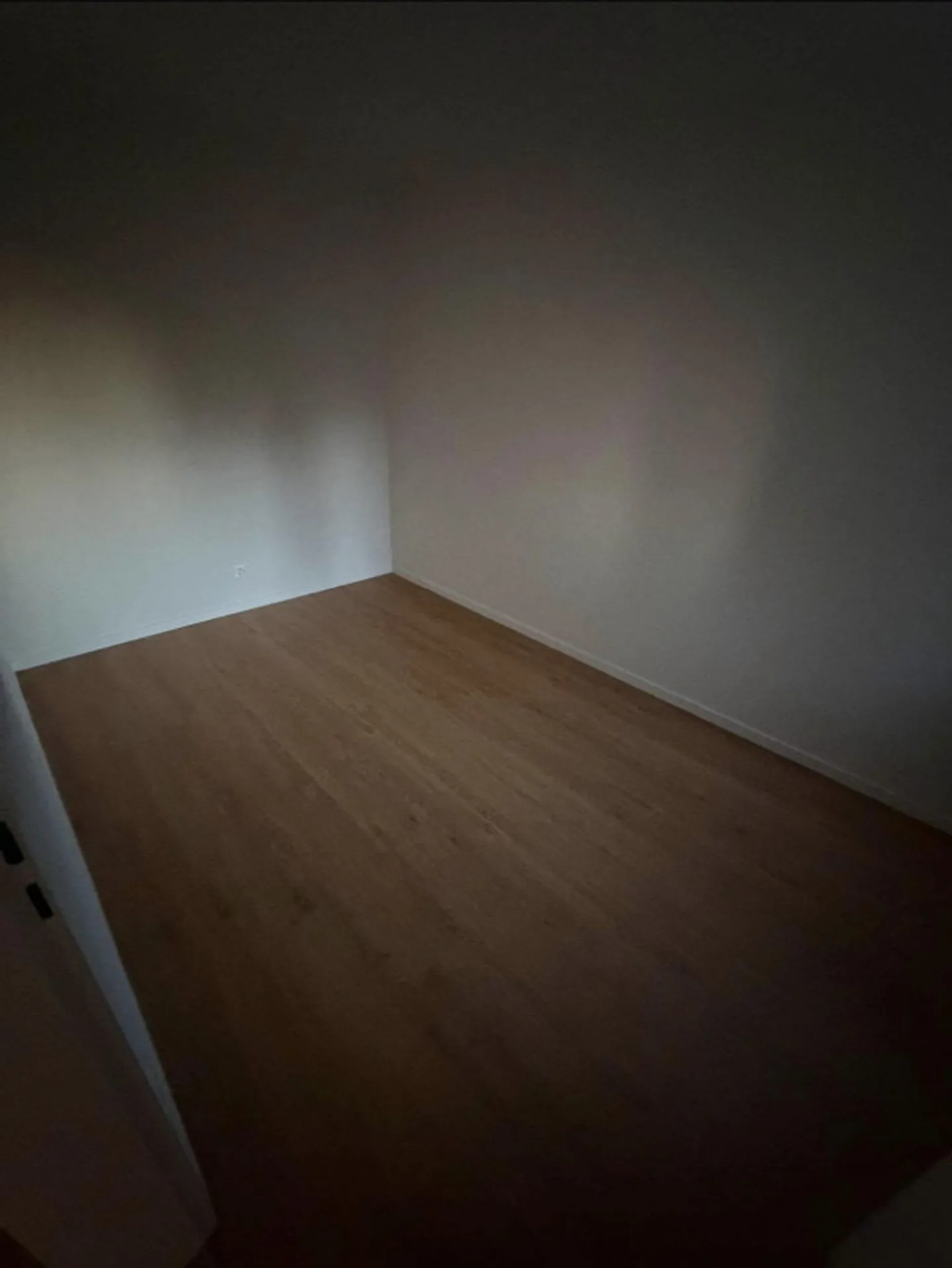 Freshly renovated 4.5 room apartment - Photo 9 of 10