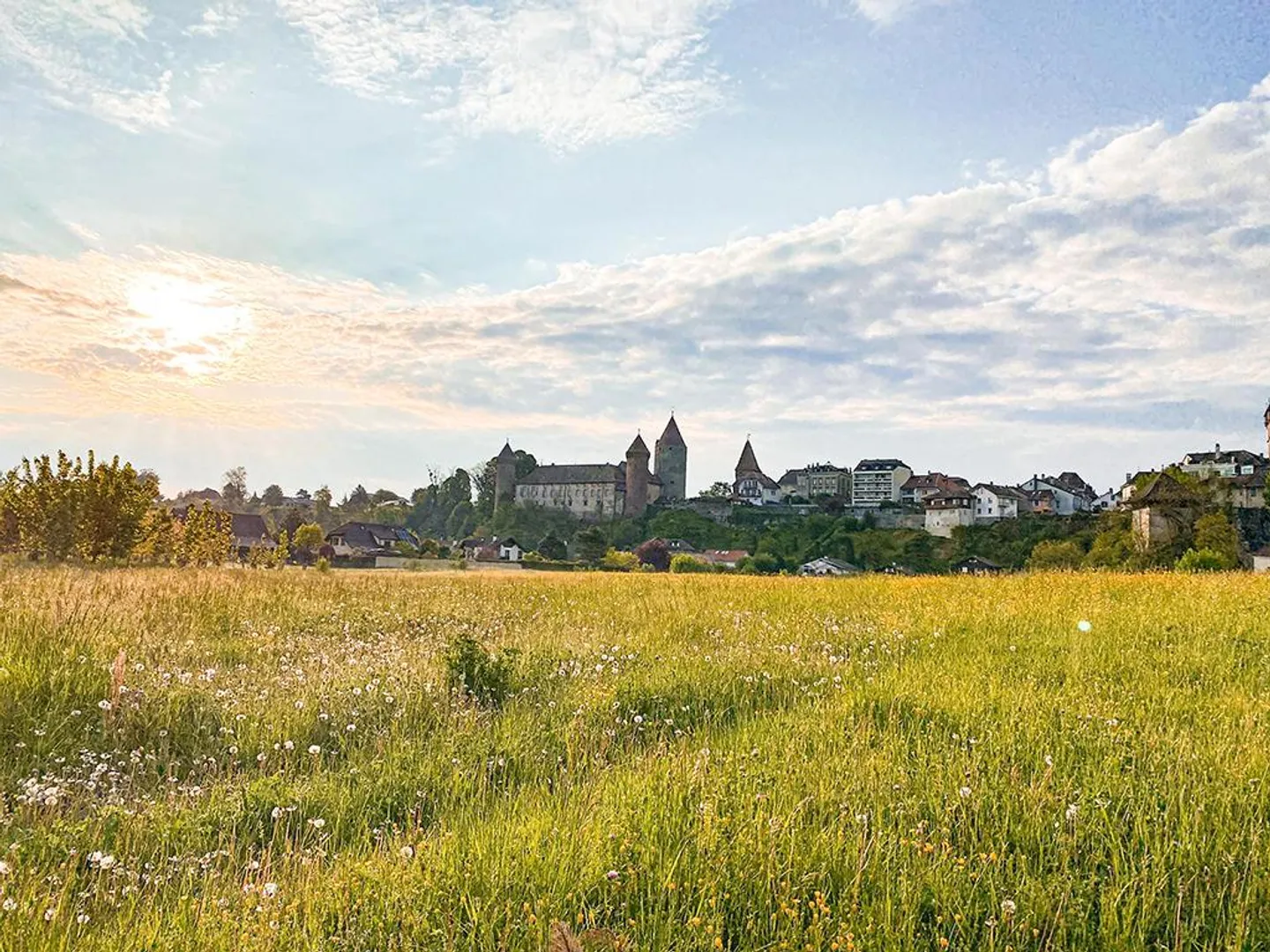 ESTAVAYER-LE-LAC - NUOVO APPARTAMENTO CON MOLTO FASCINO - Foto 3 di 3
