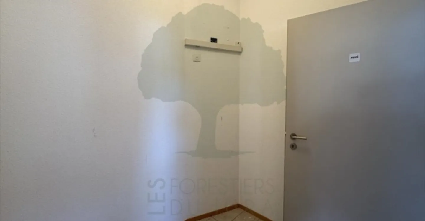 Edificio ad uso misto in affitto - Foto 2 di 13