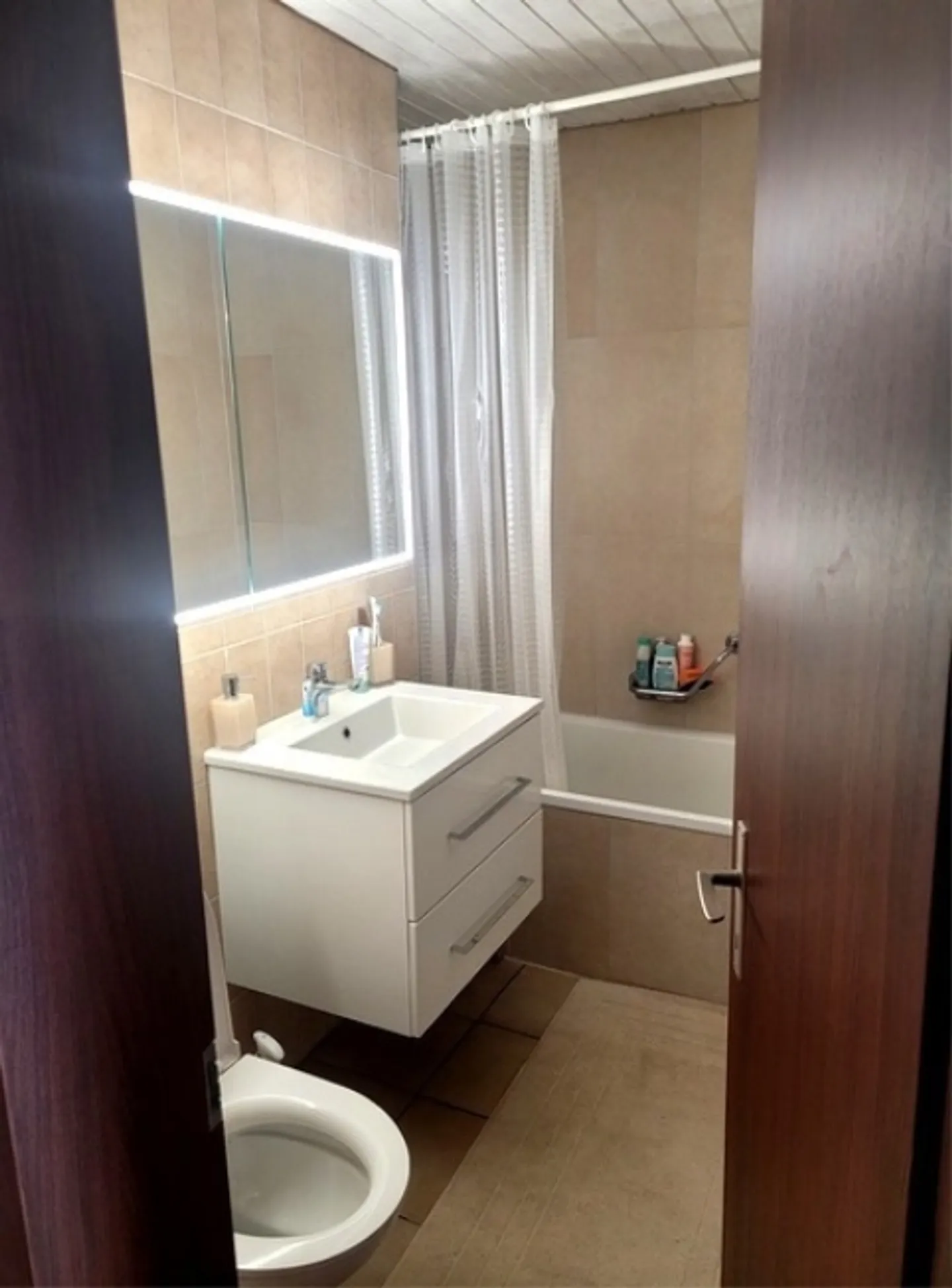 2½ ROOM APARTMENT IN GUNTEN (BE), FURNISHED, TEMPORARY - Photo 4 of 7