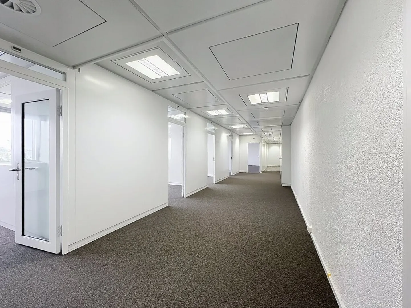 Superficie luminosa di 264 m2 a due passi dall'aeroporto - Foto 2 di 8