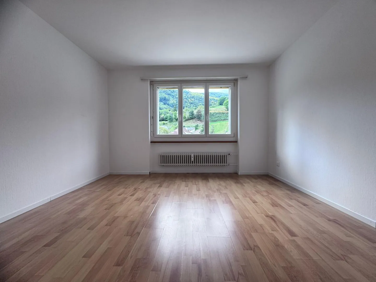 Appartamento 3.5 stanze a buon mercato con nuova cucina e balcone a Waldenburg - Foto 3 di 10