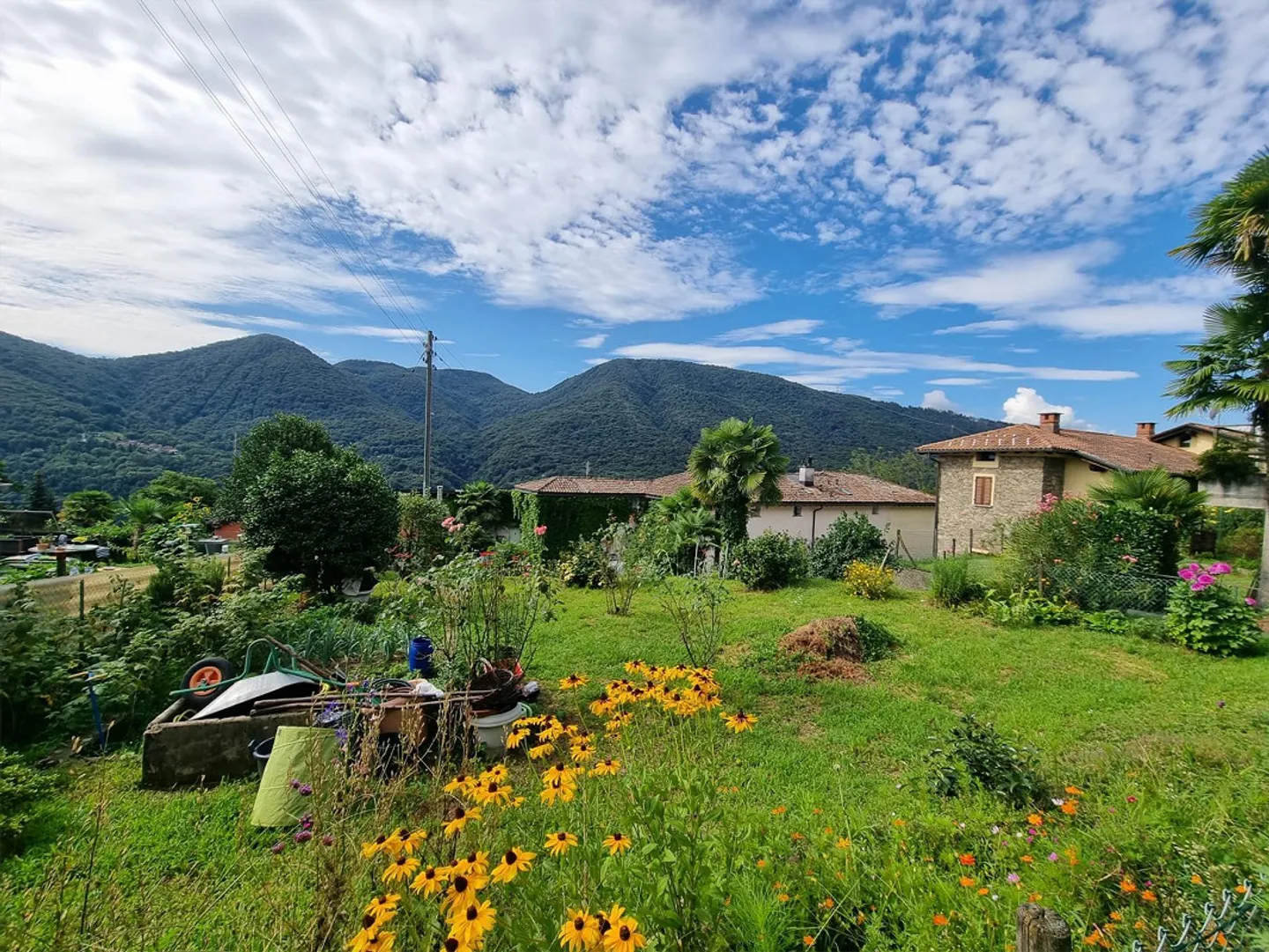 TERRENO EDIFICABILE CON PROGETTO PER UNA CASA A MONTEGGIO - Foto 1 di 5