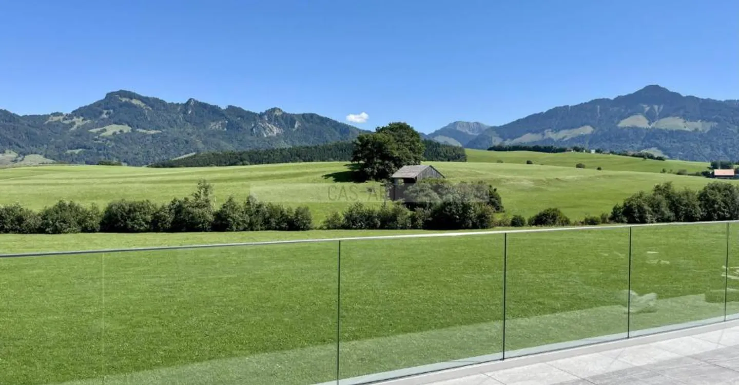 Stunning Penthouse with Alpine Views - Photo 3 of 5