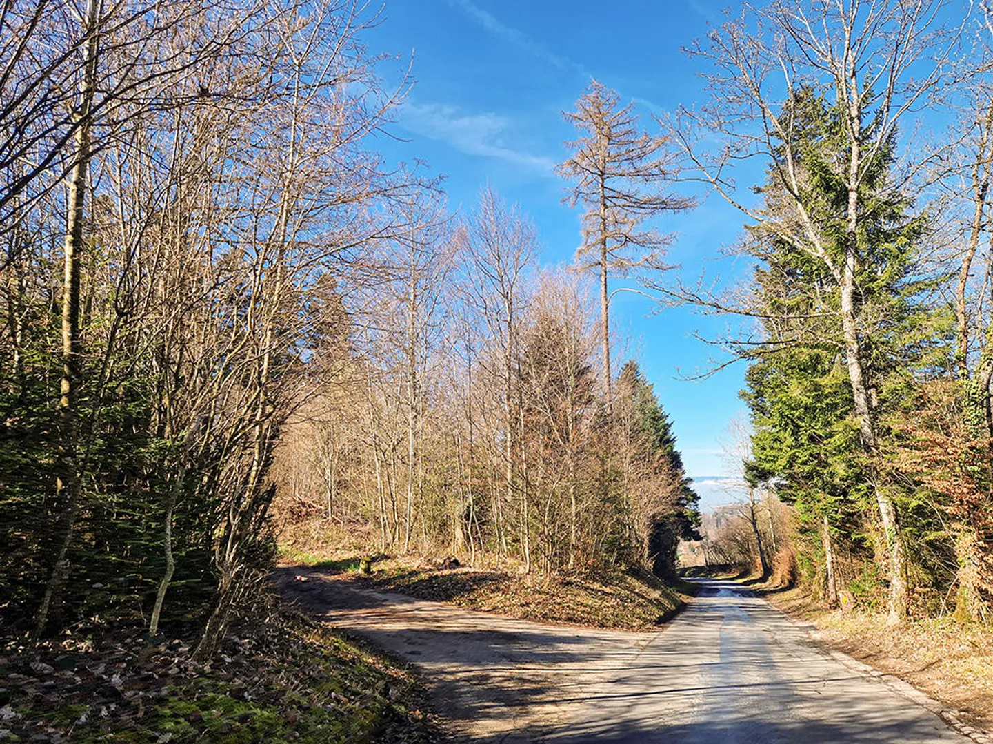 Villa 4.5 camere - Foto 1 di 3