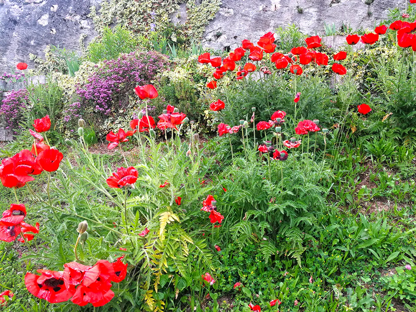 Villa spacieuse - Photo 2 sur 4