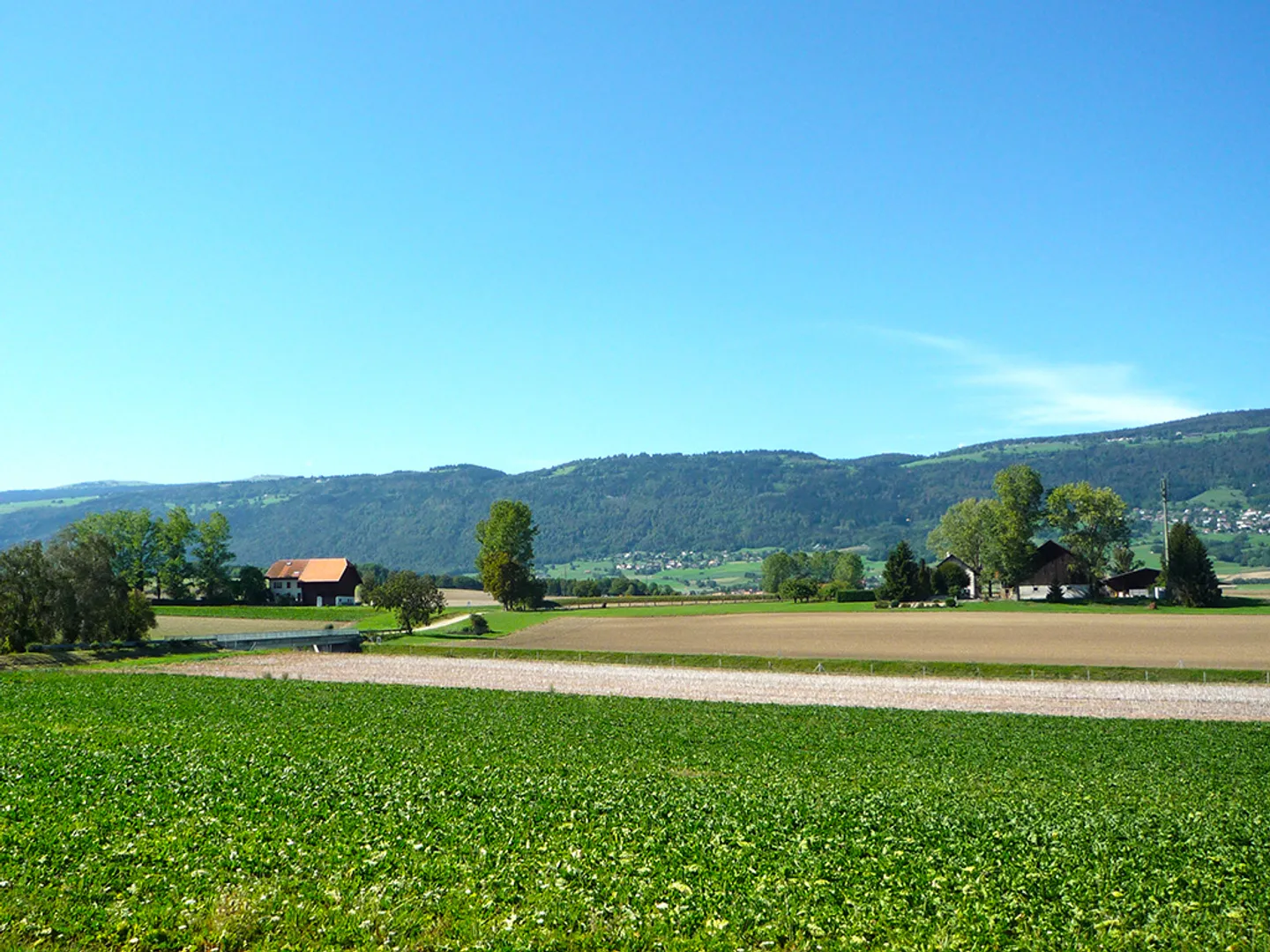 Villa spacieuse - Photo 4 sur 4