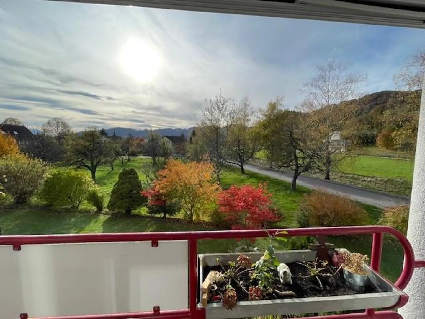 Cozy Senior Apartment with a View of the Green - Photo 1 of 9