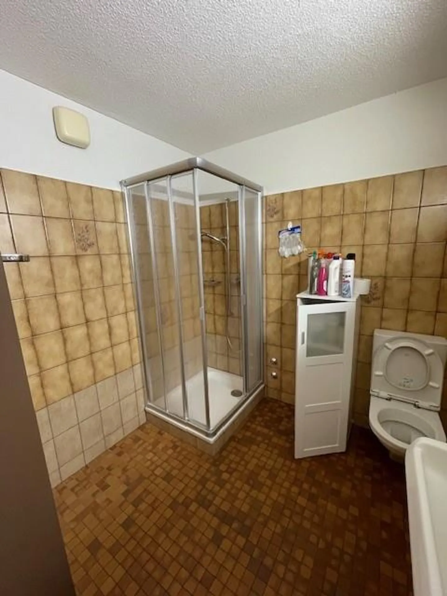 Cozy Senior Apartment with a View of the Green - Photo 6 of 9