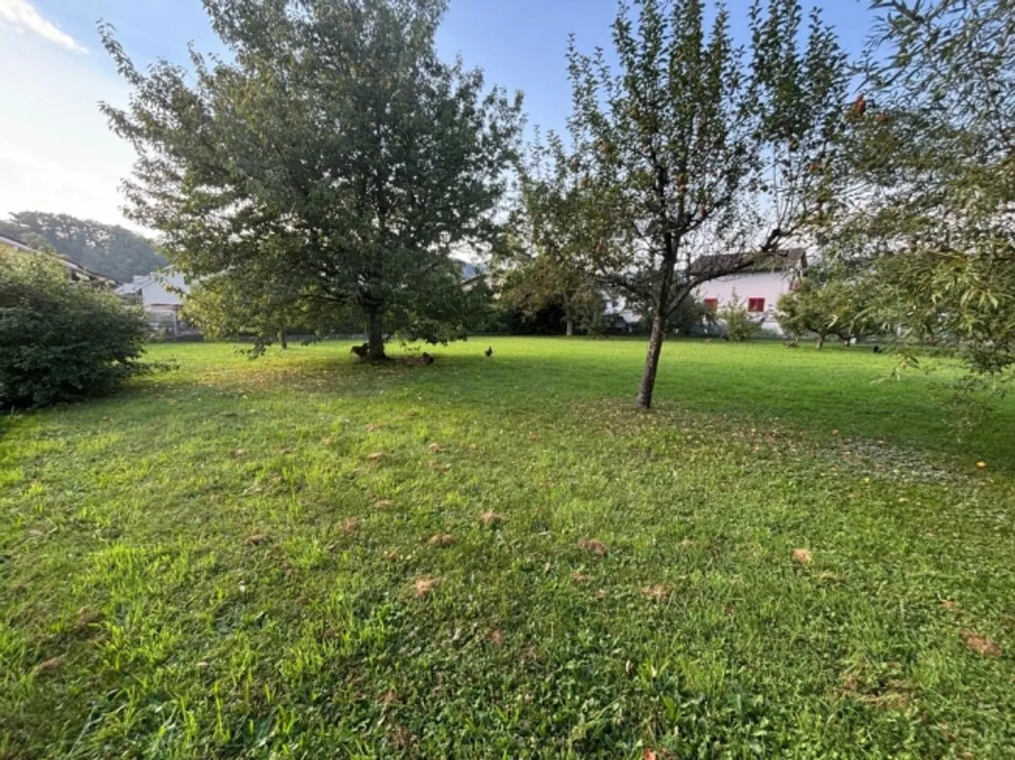 Terreno edificabile attraente a Erlinsbach (5015) - Zona residenziale W2 con potenziale - Foto 4 di 4