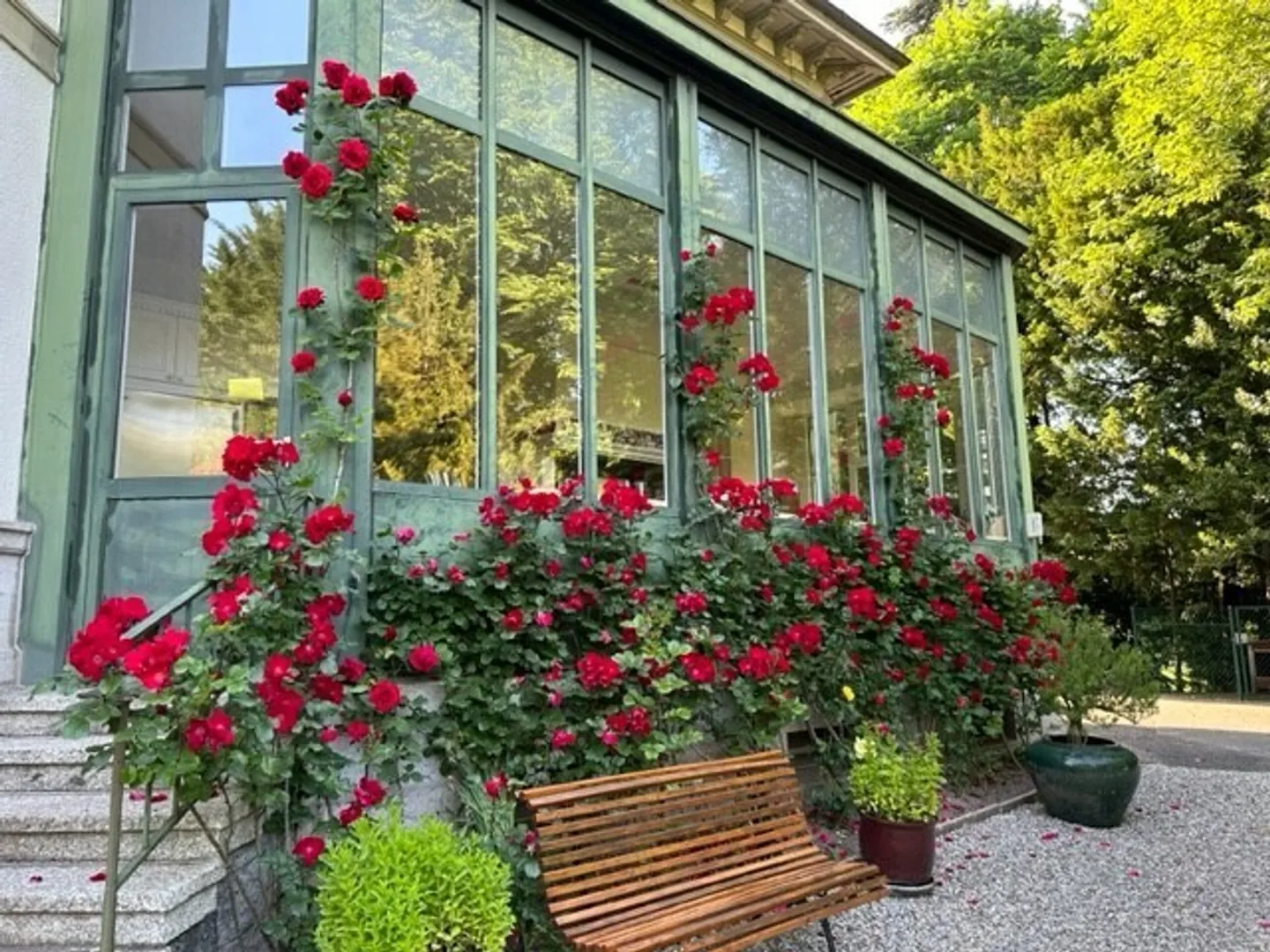 Casa singola in affitto - Foto 17 di 18