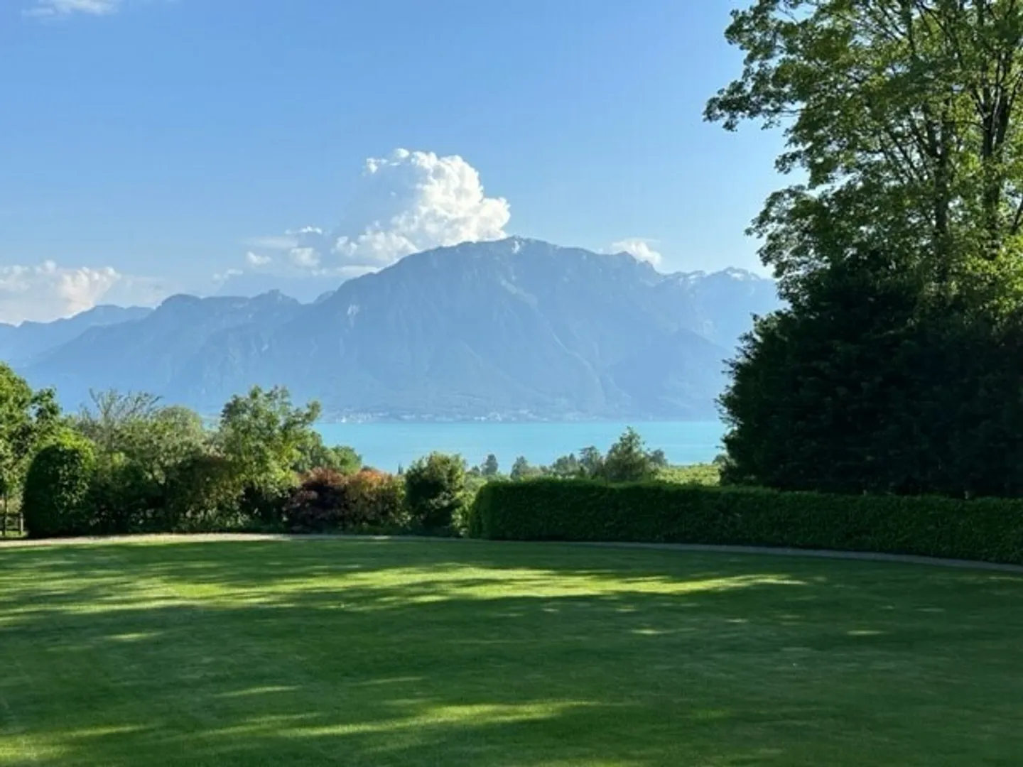 Casa singola in affitto - Foto 18 di 18