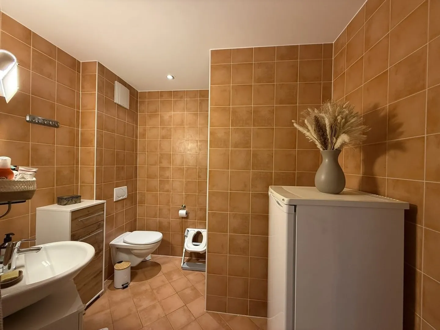 FAOUG (VD) - Appartamento duplex di 4,5 stanze al piano terra - Foto 8 di 12