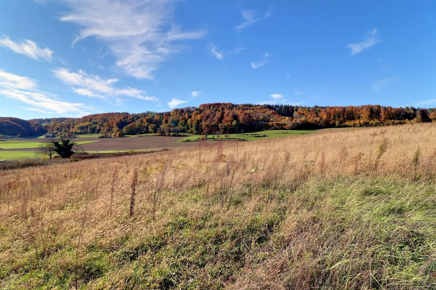 Bella casa di 5,5 stanze a Granges-près-Marnand - Foto 17 di 17