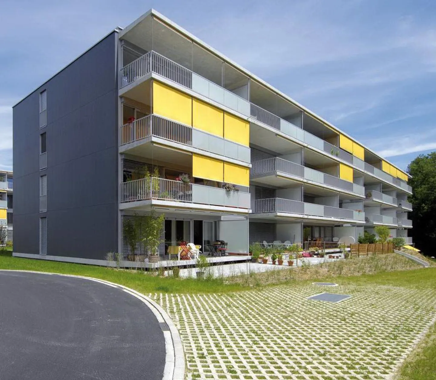 Group visit on Wednesday 12.11.2025 from 6:00 PM to 7:00 PM - Photo 1 of 1