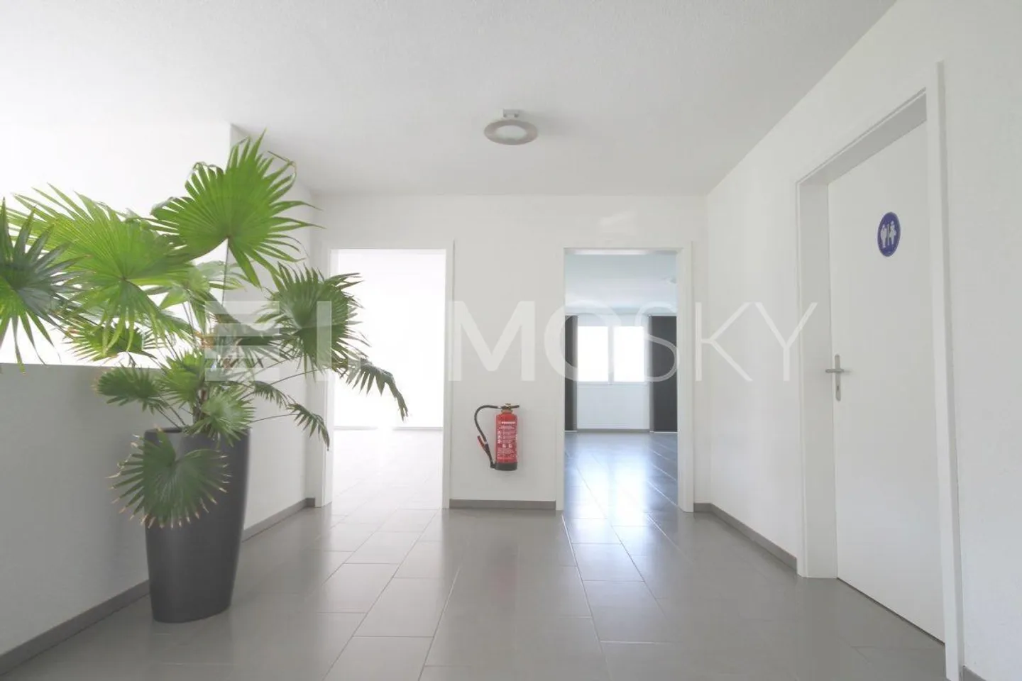 Plenty of office space, low costs, and pure nature right at your doorstep - Photo 3 of 5