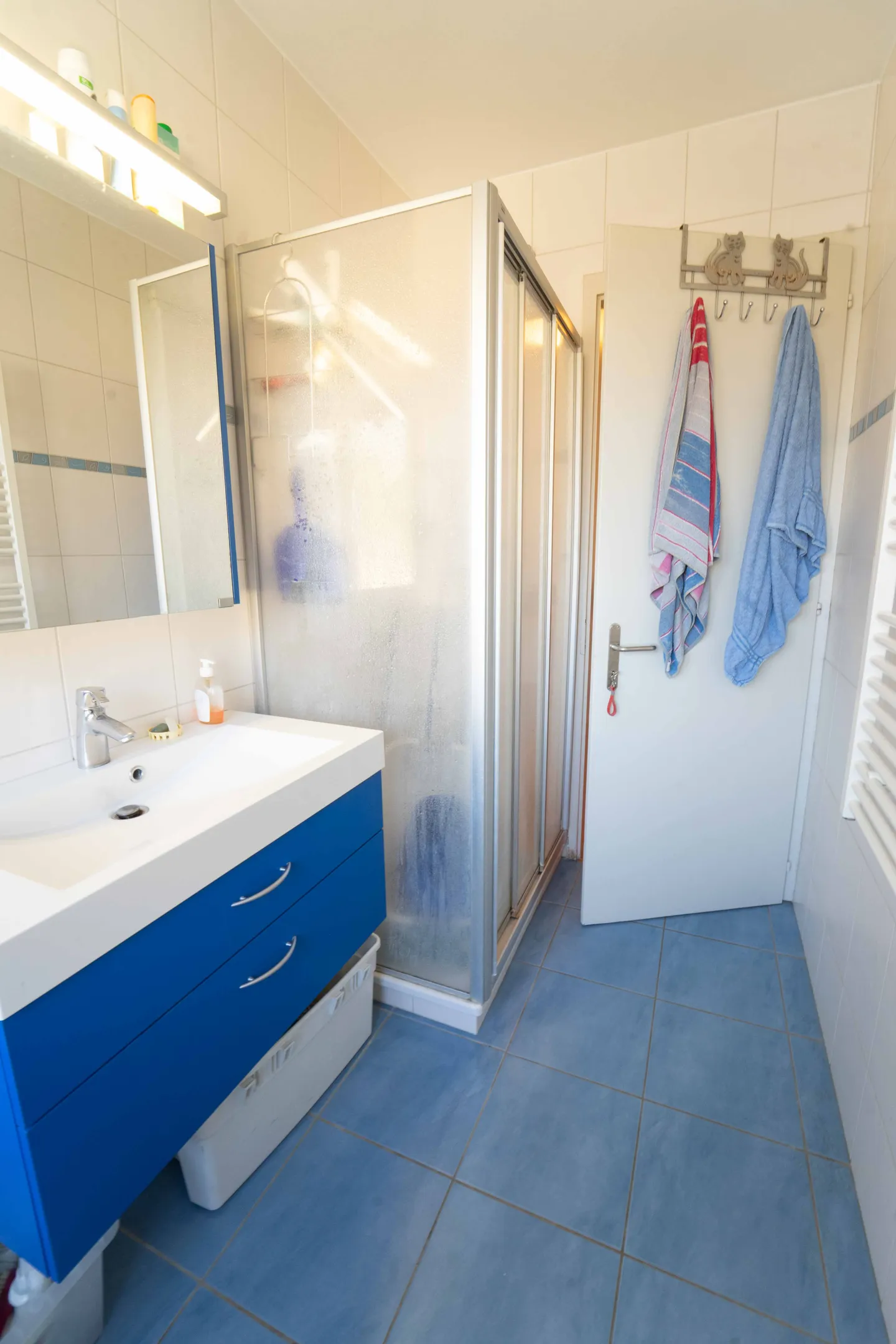 Charming Apartment in Sion - Photo 9 of 10