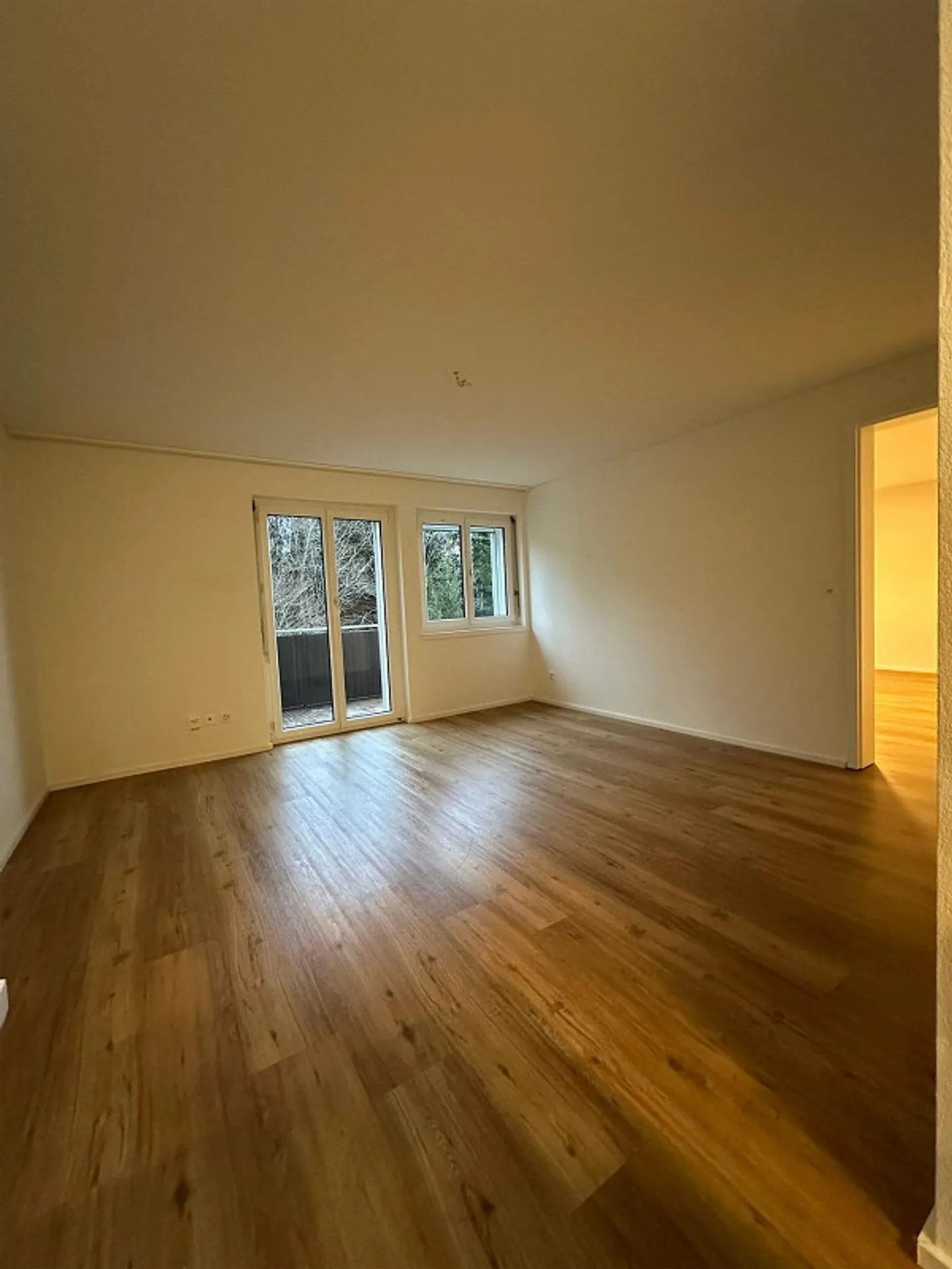 Appartamento 2.5 stanze con vista da sogno - Foto 3 di 7