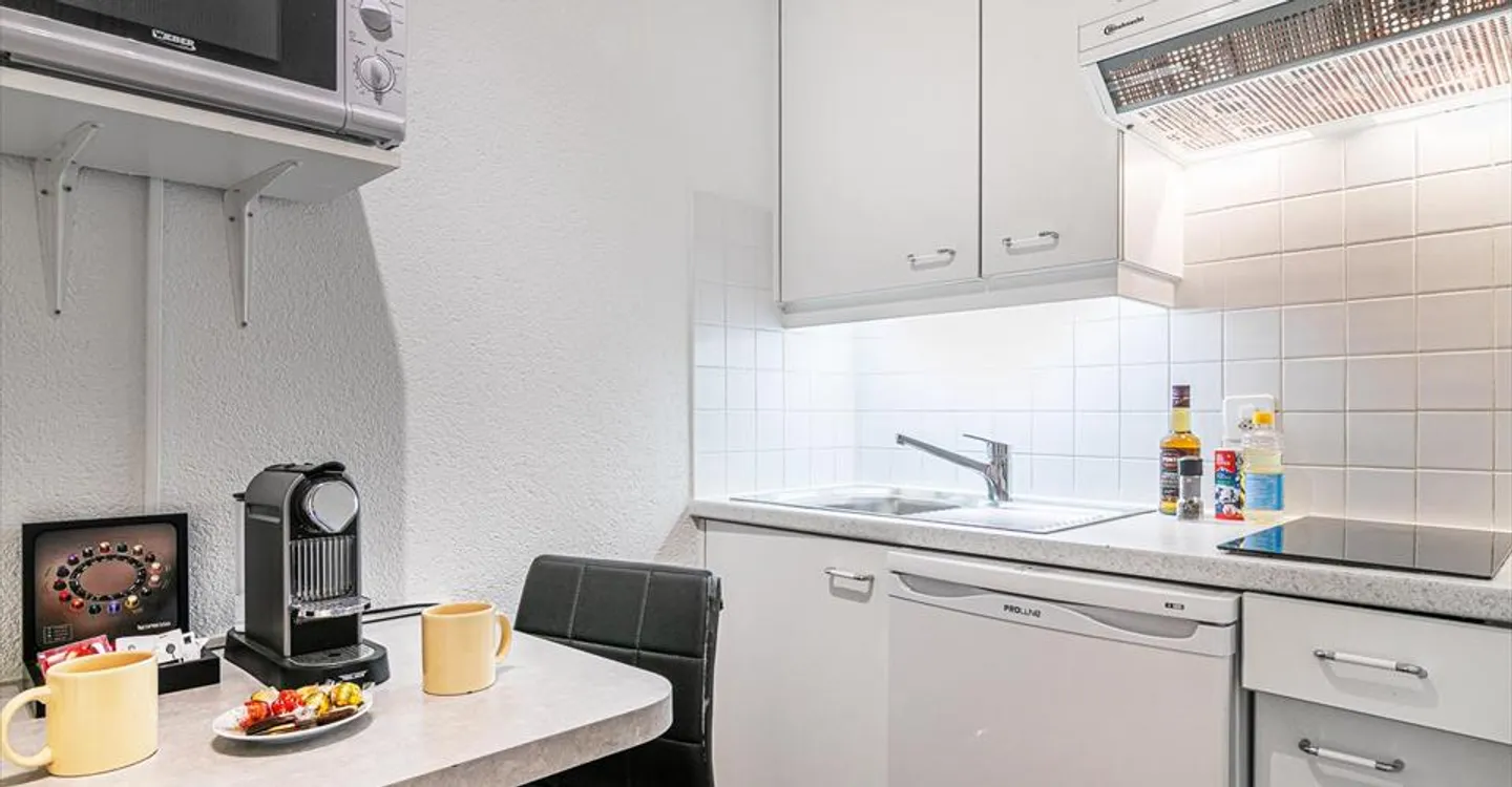 Modern Studio Near Lausanne Station - Photo 6 of 10
