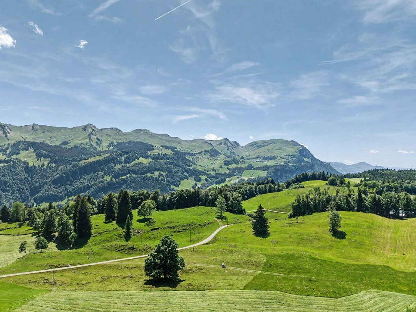 Appartamento moderno di 2,5 stanze con vista panoramica a Illgau (St. Karl) - Foto 3 di 13