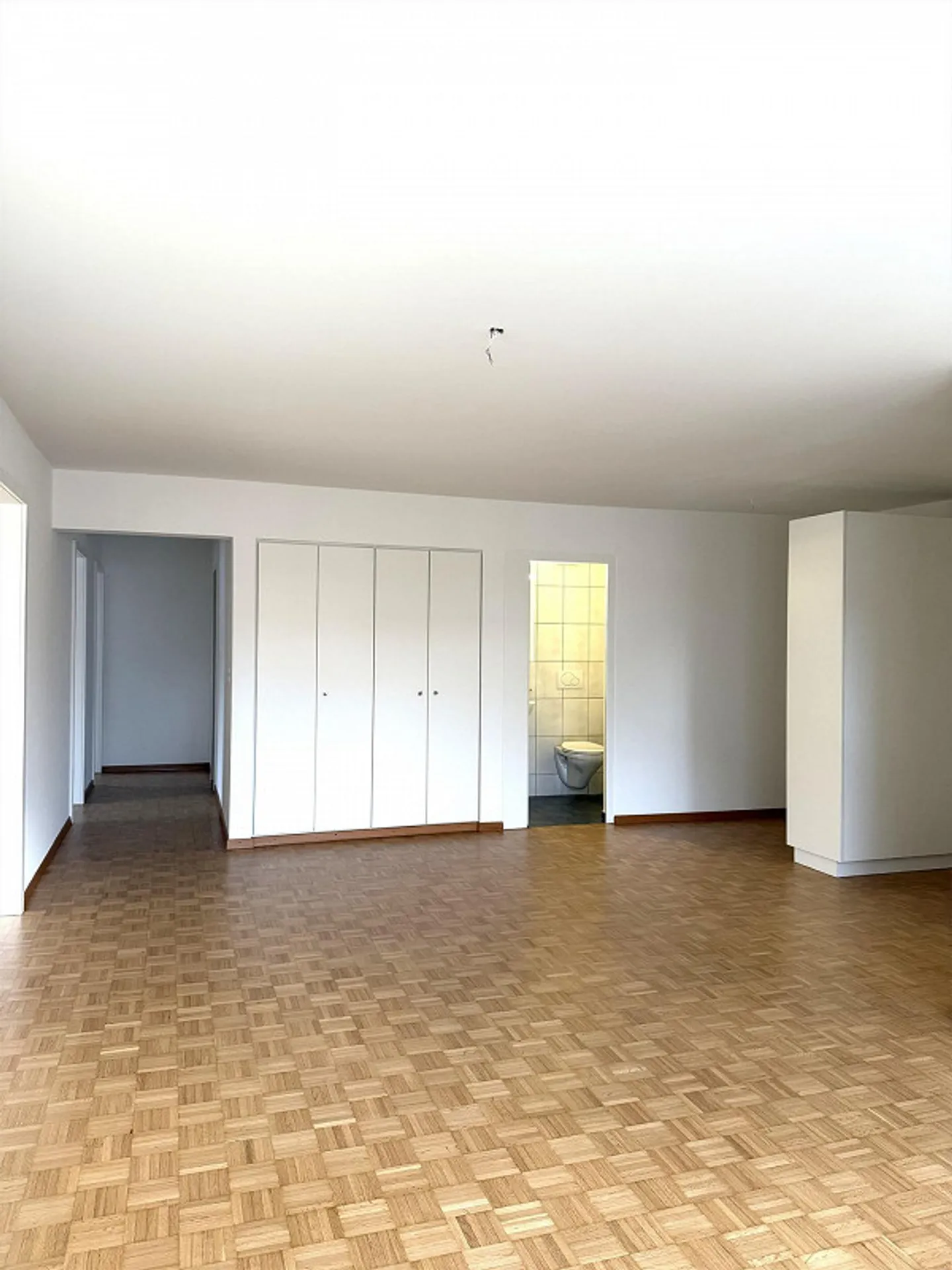 Charming 4.5 Room Apartment - Photo 4 of 9