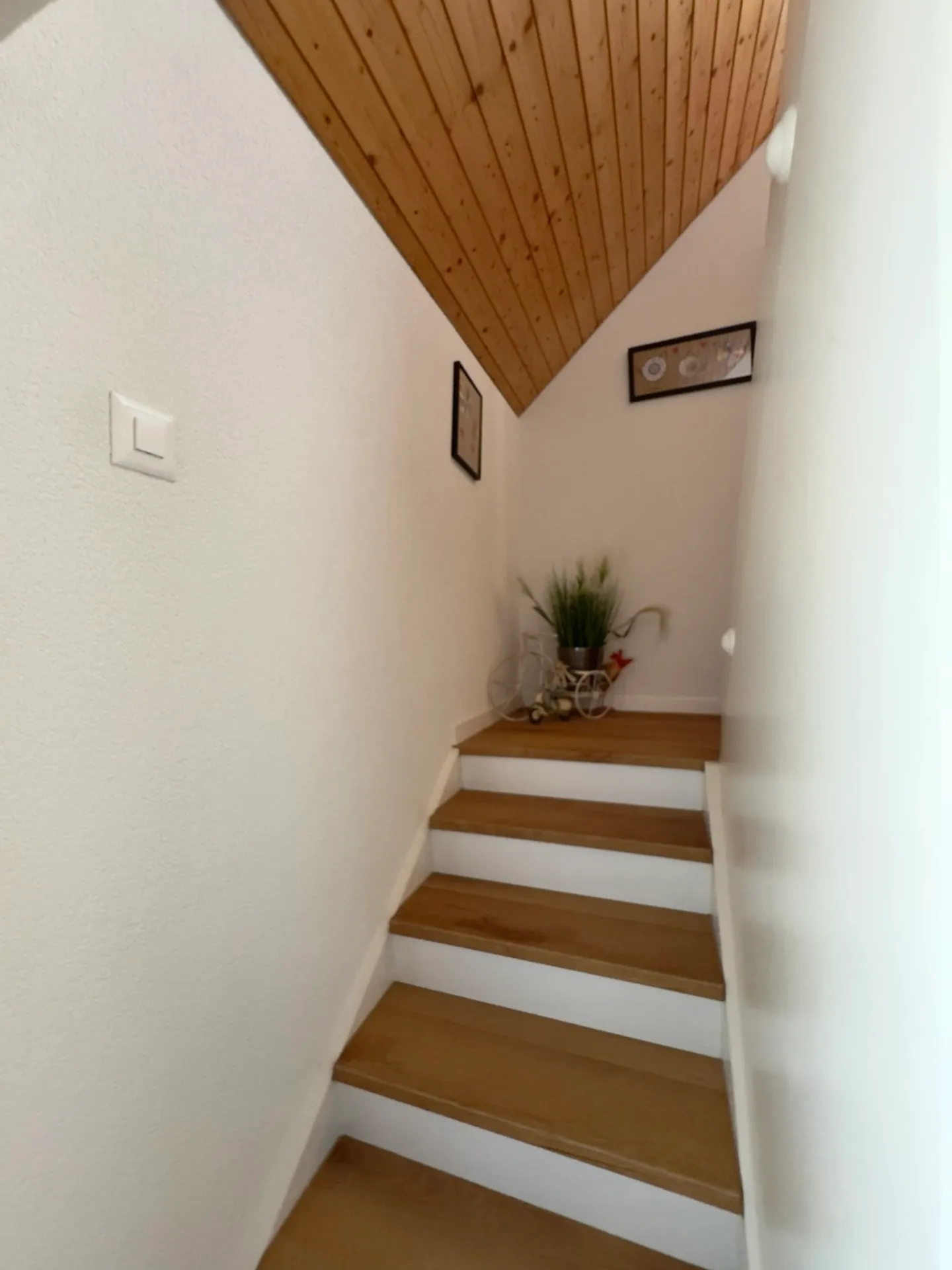 Casa singola in affitto - Foto 3 di 6