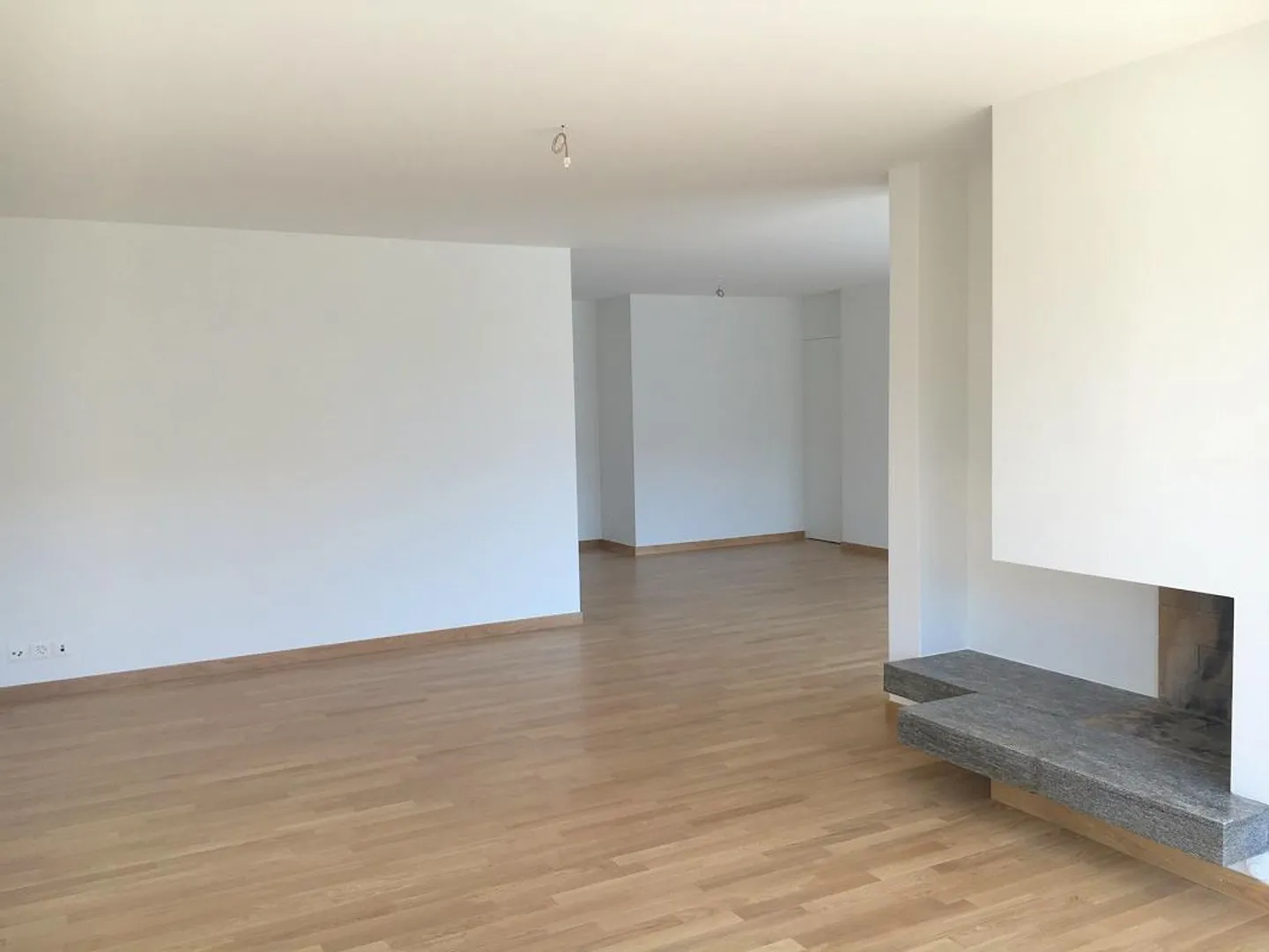 Appartement en loft de 2,5 pièces avec balcon et cheminée - Photo 4 sur 9