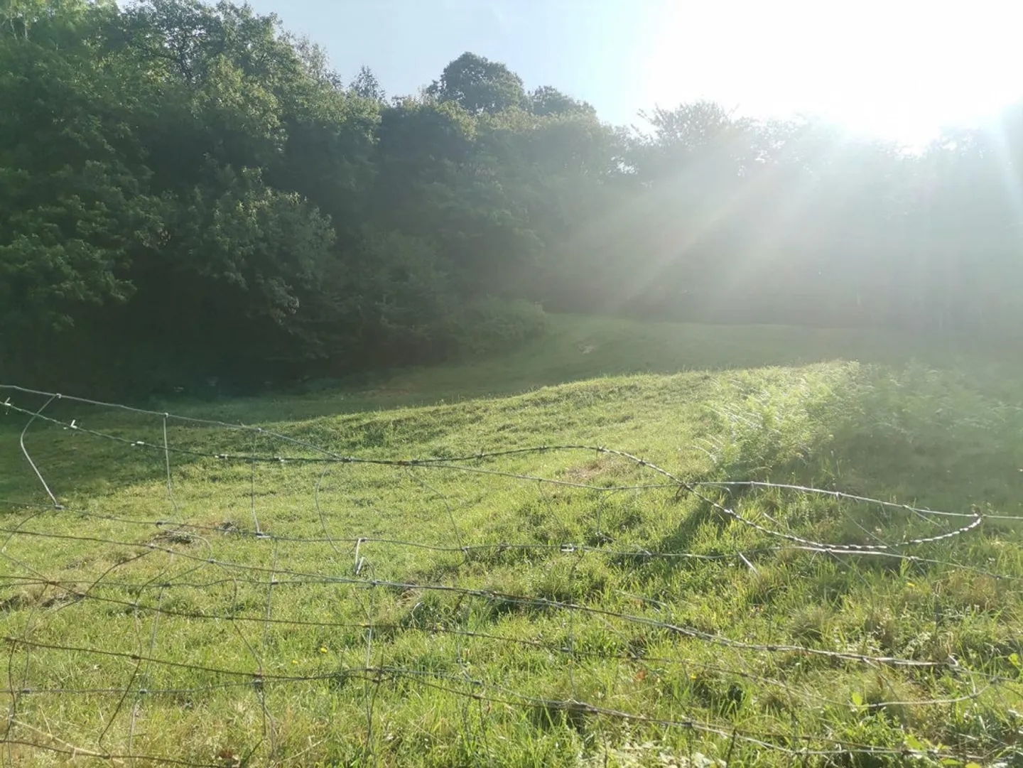 Terrain constructible zone R2 / Terrain de construction zone R3 - Photo 4 sur 8