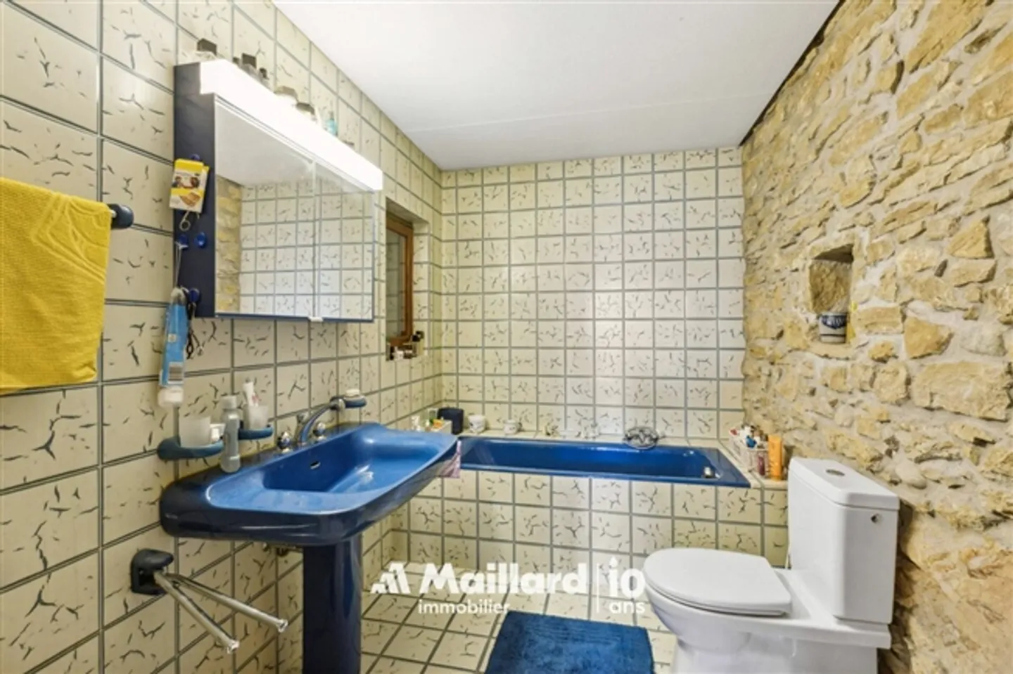 «11-Zimmer Herrenhaus in Champagne» - Foto 10 von 20