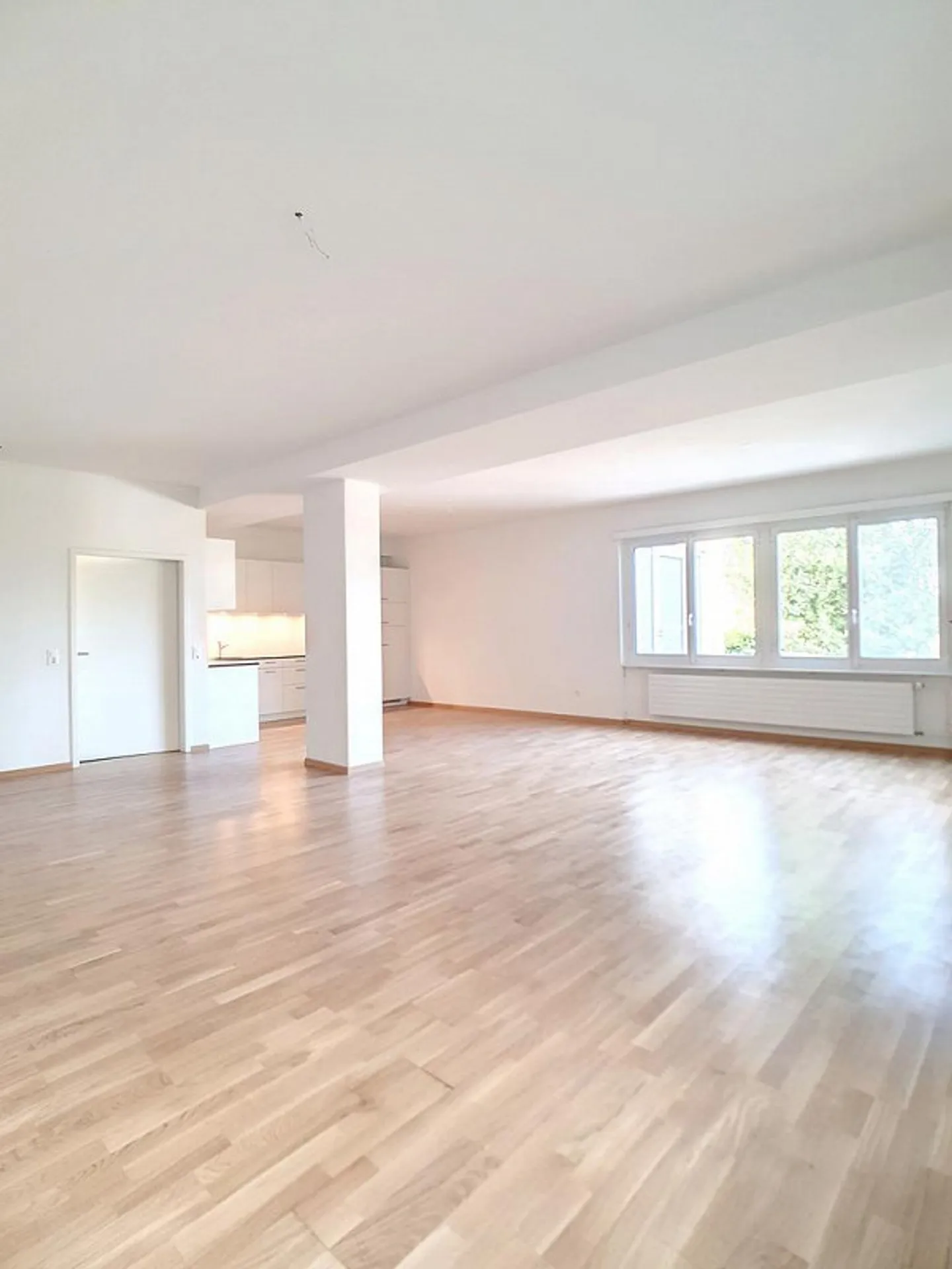 Atelier spazioso a Schlieren - Foto 4 di 8